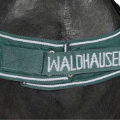 Waldhausen Chemise de Marcheur 100g Fir Green