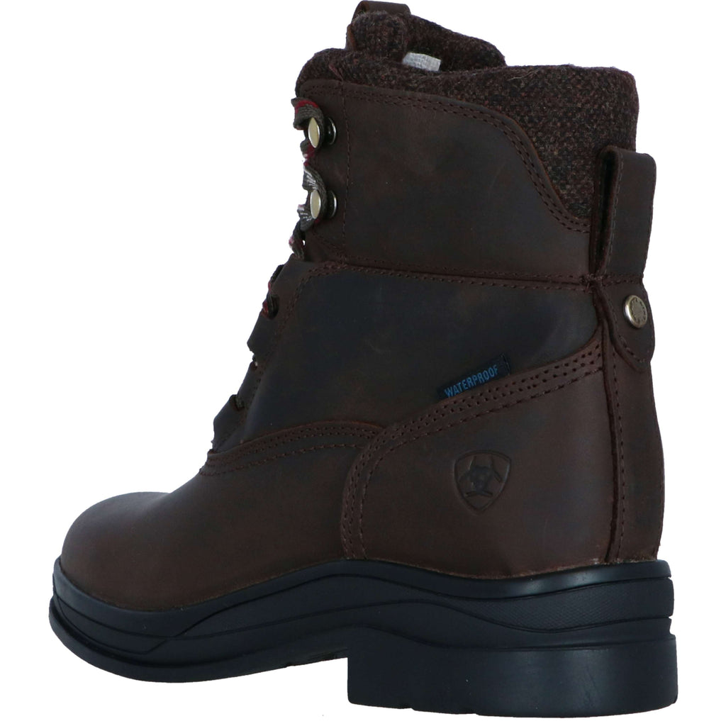Ariat Chaussure d'Écurie Harper Waterproof Femme Chocolat/Willow