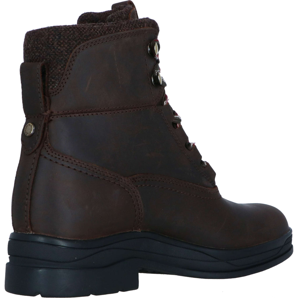 Ariat Chaussure d'Écurie Harper Waterproof Femme Chocolat/Willow