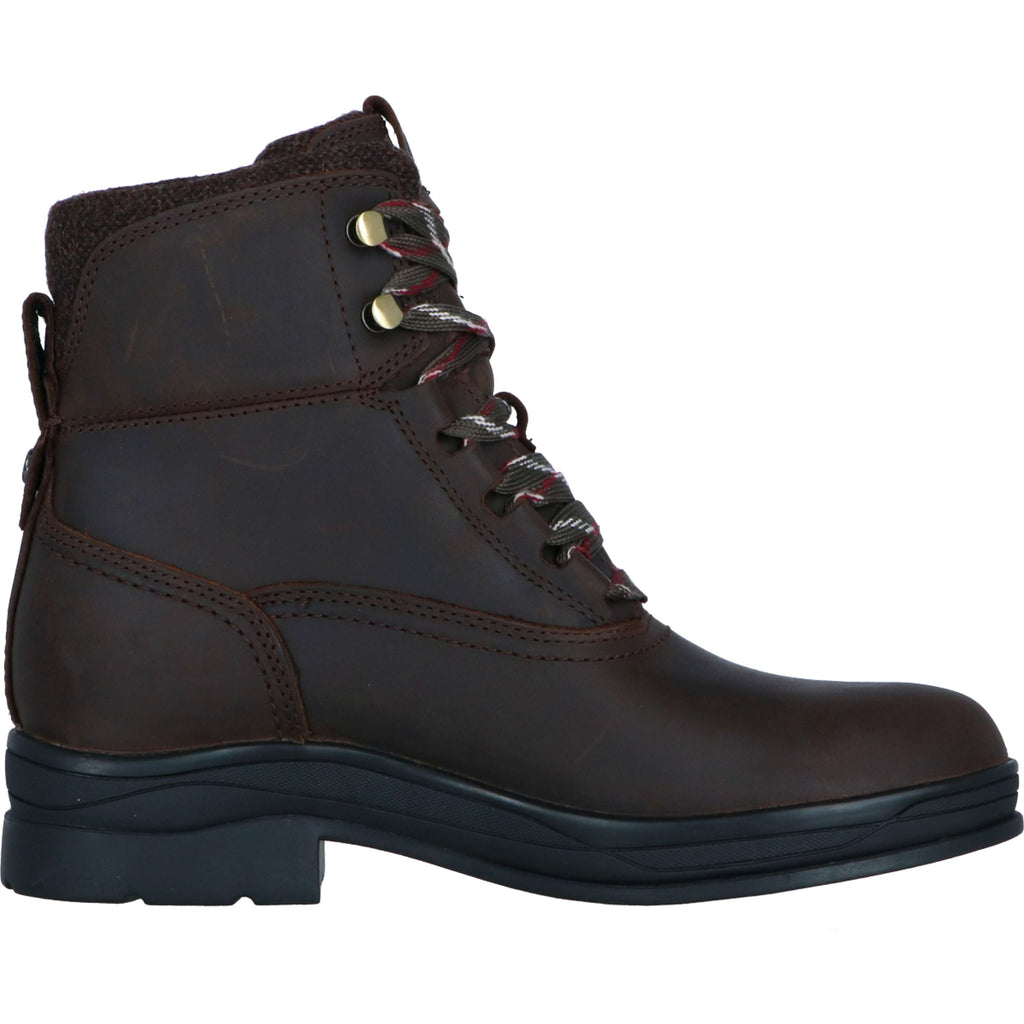 Ariat Chaussure d'Écurie Harper Waterproof Femme Chocolat/Willow