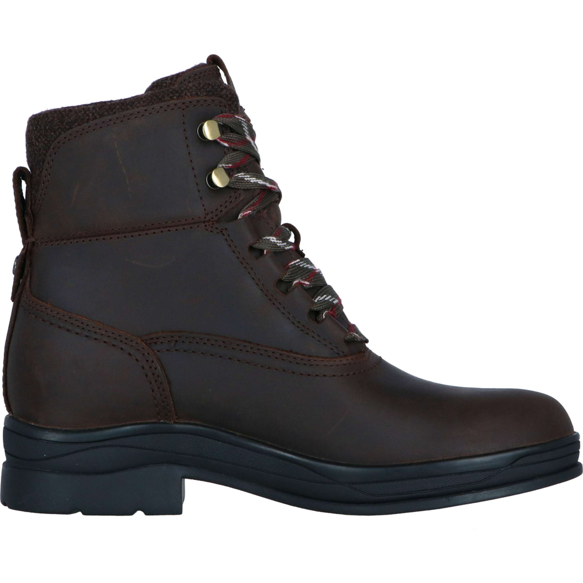 Ariat Chaussure d'Écurie Harper Waterproof Femme Chocolat/Willow