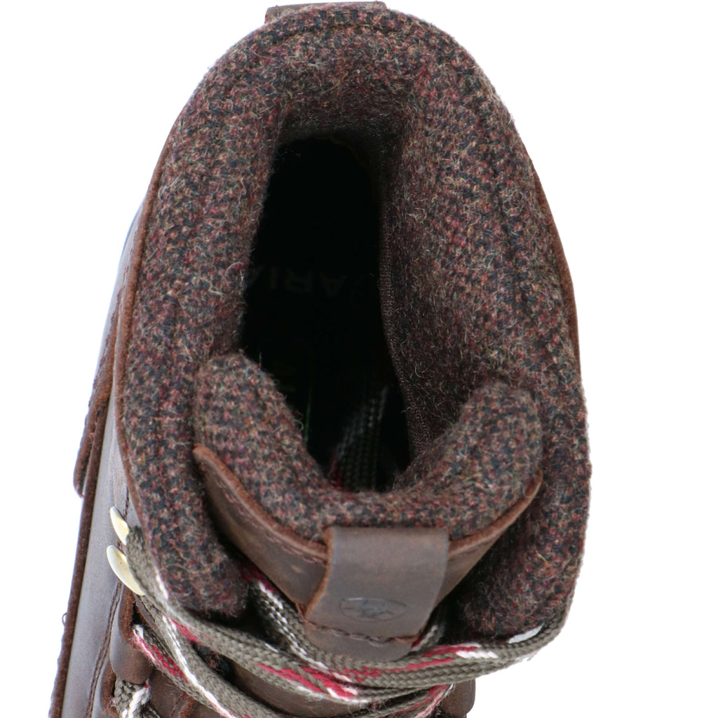 Ariat Chaussure d'Écurie Harper Waterproof Femme Chocolat/Willow