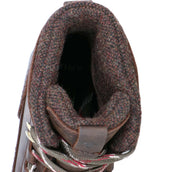 Ariat Chaussure d'Écurie Harper Waterproof Femme Chocolat/Willow