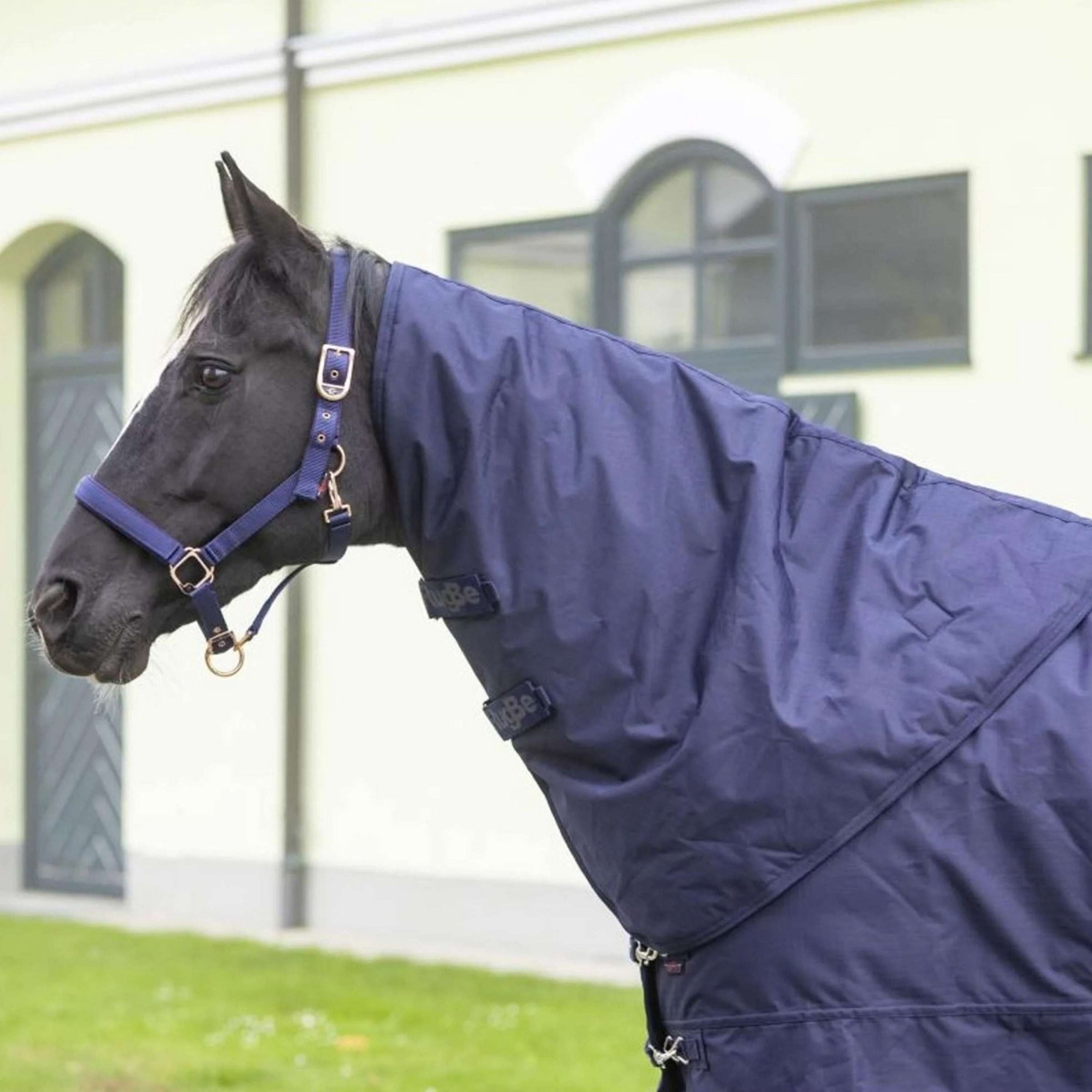 RugBe by Covalliero Couvre-Cou IceProtect Marin foncé