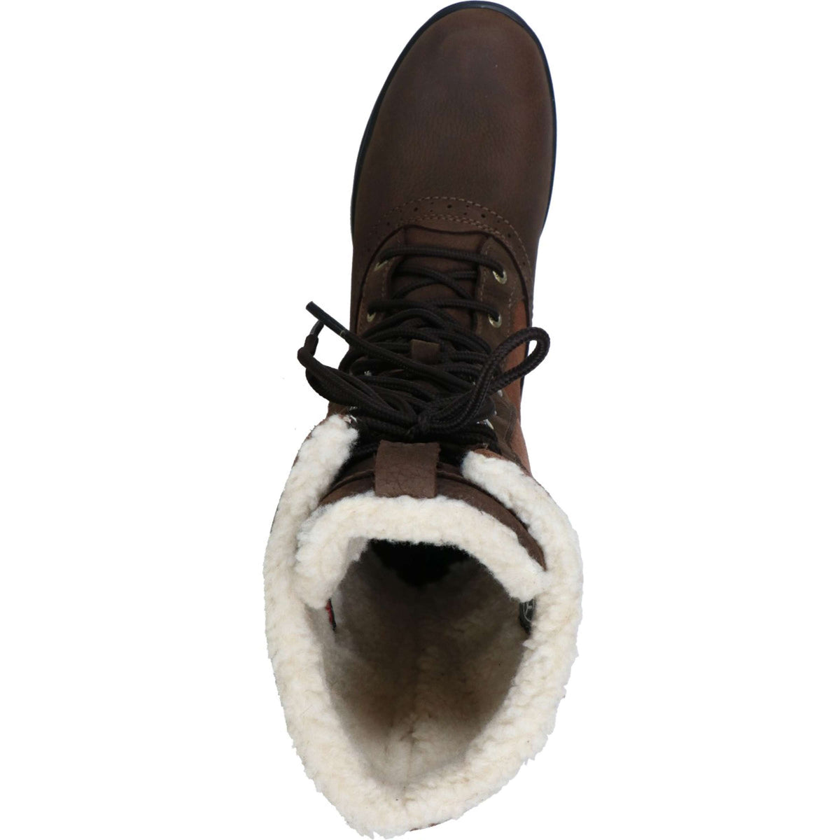 Ariat Bottes d'Extérieur Whythburn H2O Mid Java