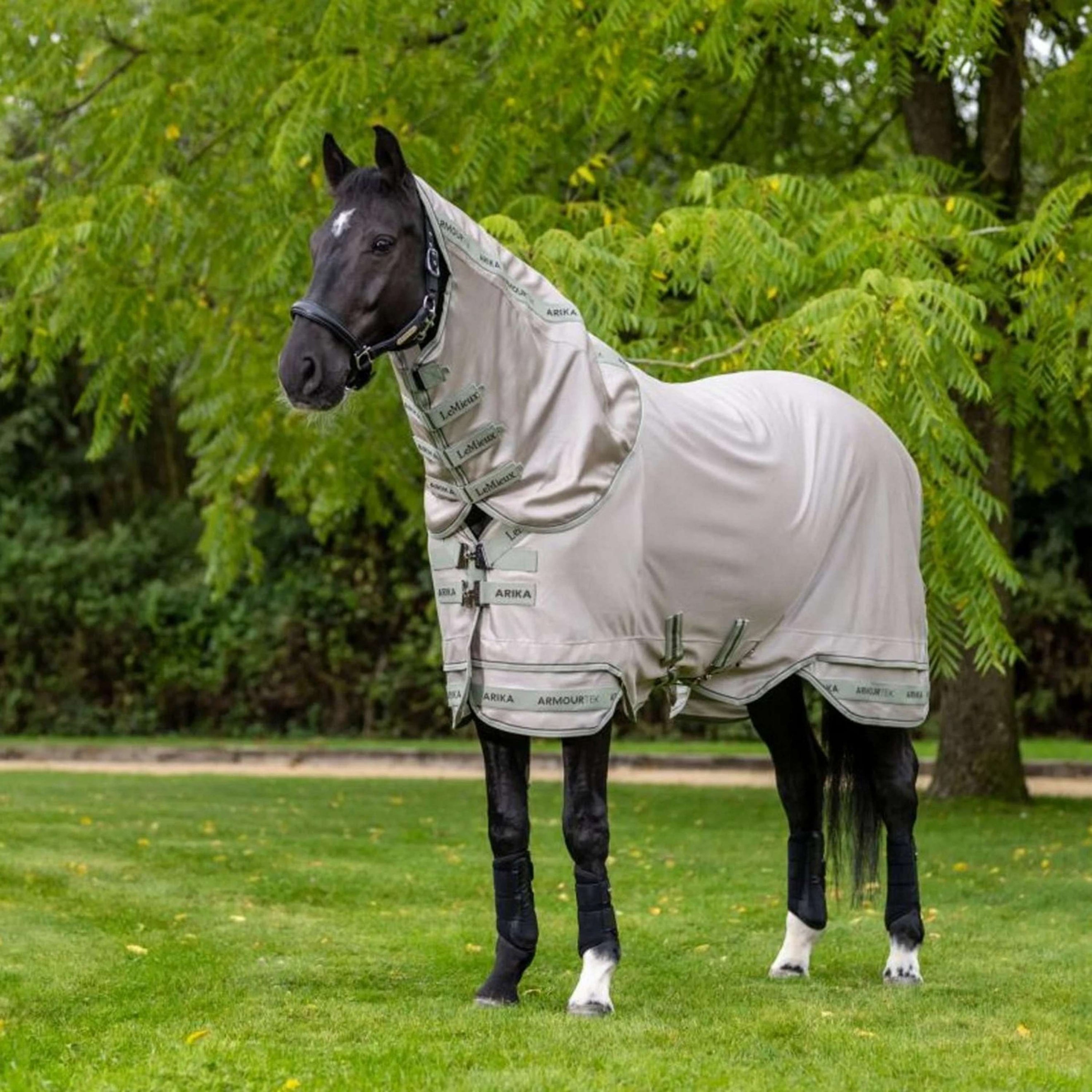 LeMieux Couverture Anti-Mouches Arika Armour-Tek Pierre