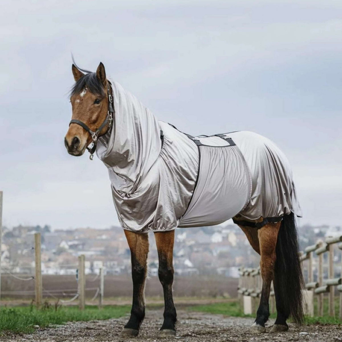 Riding World Couverture Anti-Eczema Gris