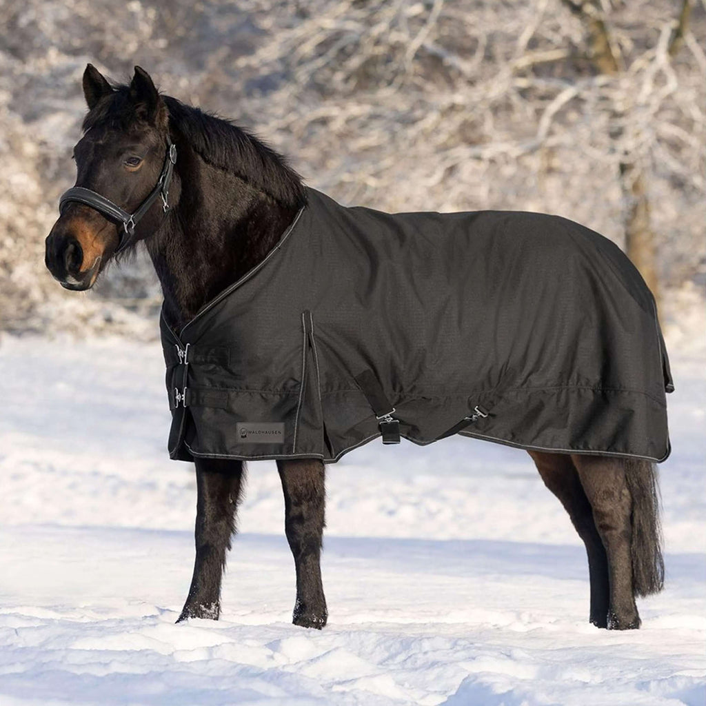 Waldhausen Couverture d'Extérieur Nordic 300g Noir