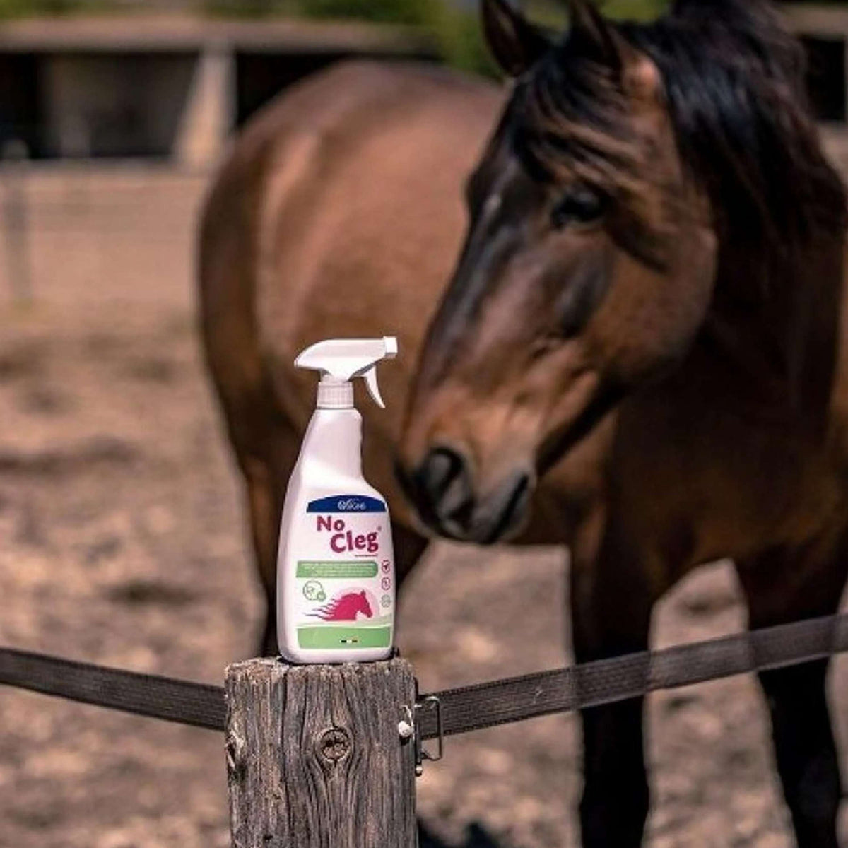 NoCleg Spray
