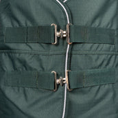 EQUITHÈME Couverture d'Extérieur Tyrex 600D Standard 150g Vert