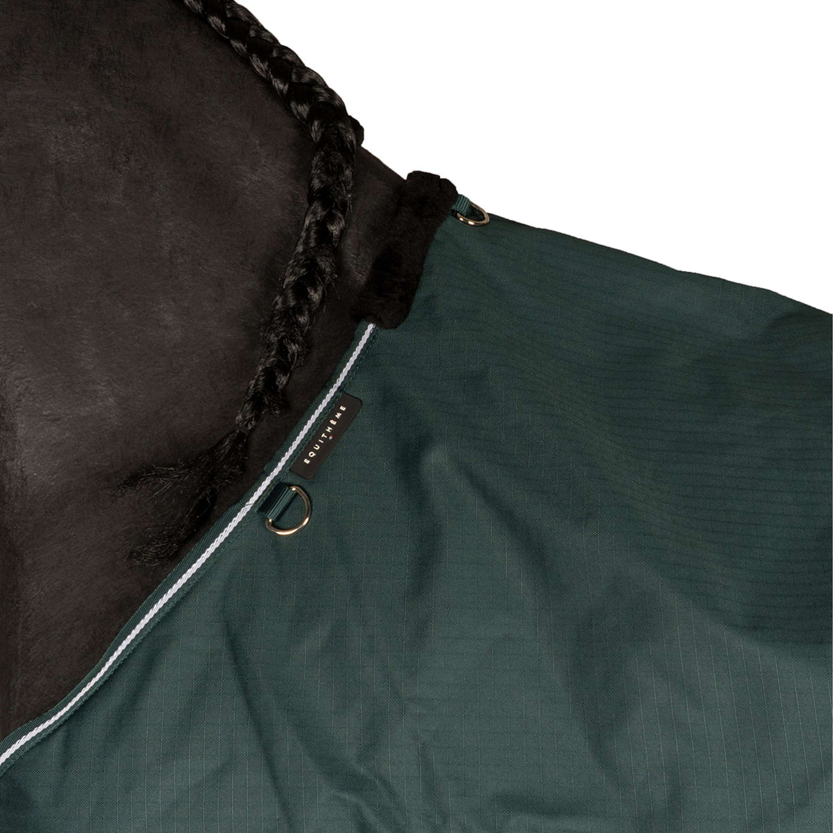 EQUITHÈME Couverture d'Extérieur Tyrex 600D Standard 150g Vert