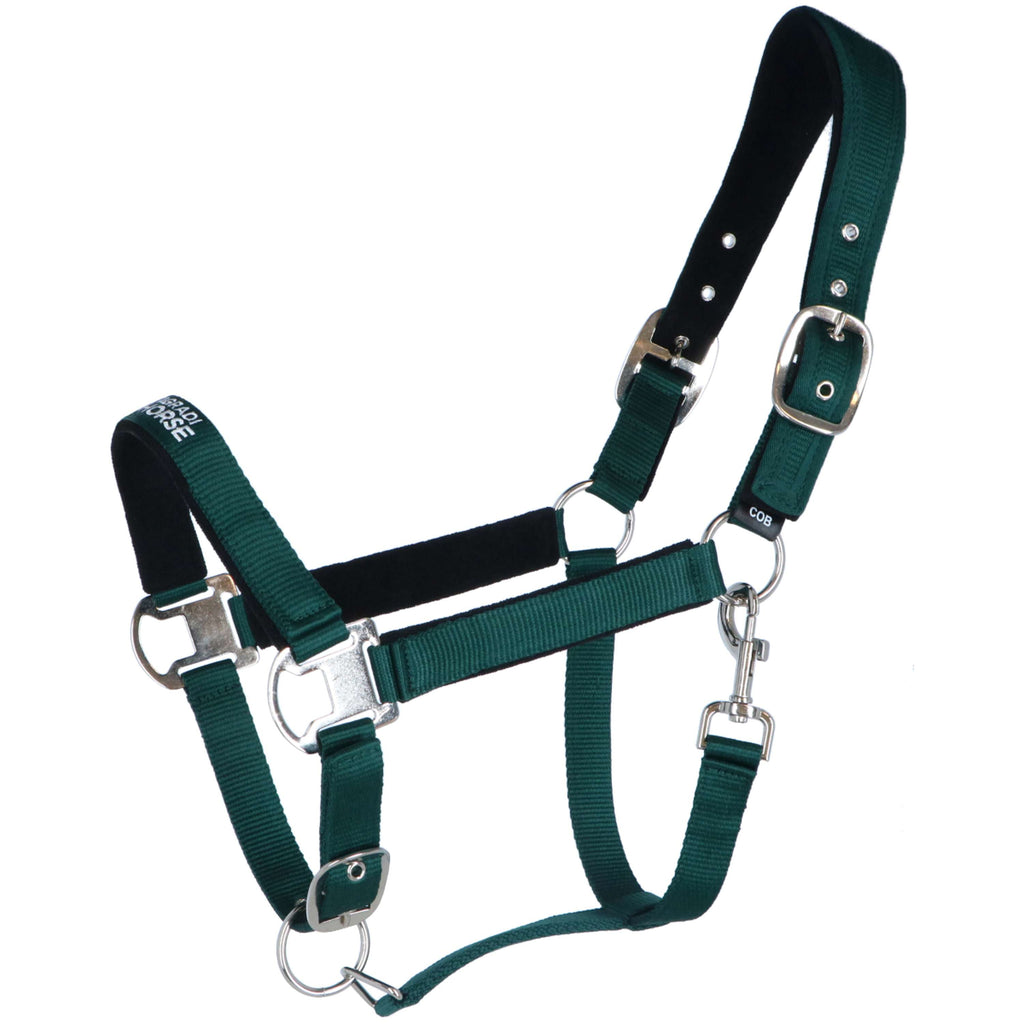 Agradi Horse Licol Athletic Fir Green