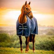 Amigo Ripstop 900D Pony 100g Witney Navy