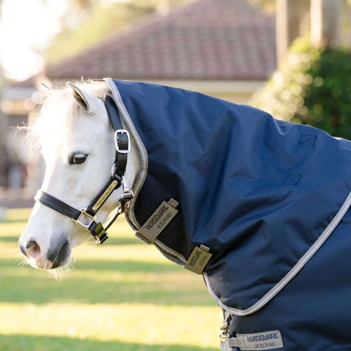 Amigo Chemise Turnout 1200D Plus Pony 50g Marine/Gris Titane/Argent