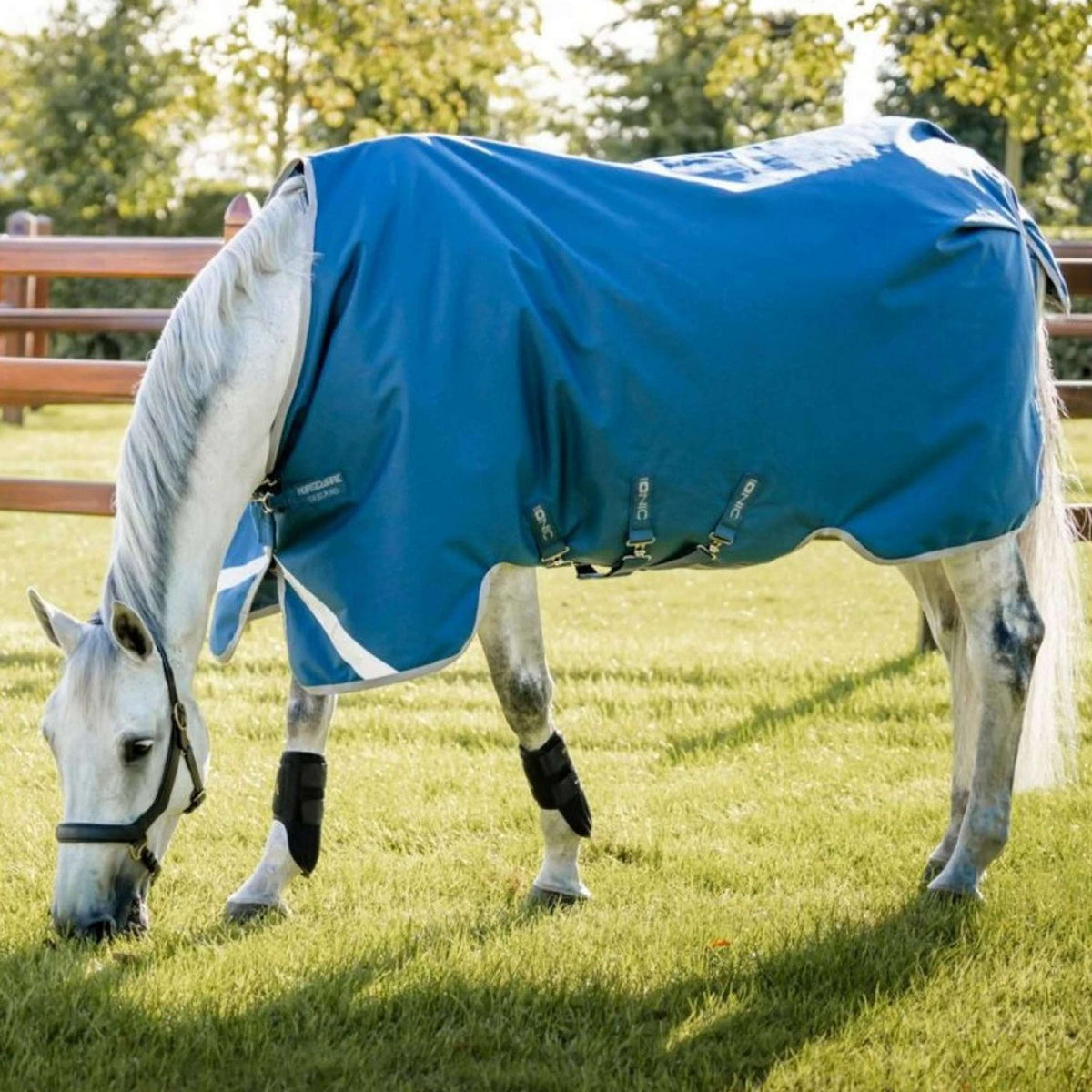 Horseware Therapy Turnout Ionic 100g Bleu Impérial/Argent/Marine