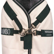 Rambo Pull col Hoodie Craie/Vert chasseur/Argent