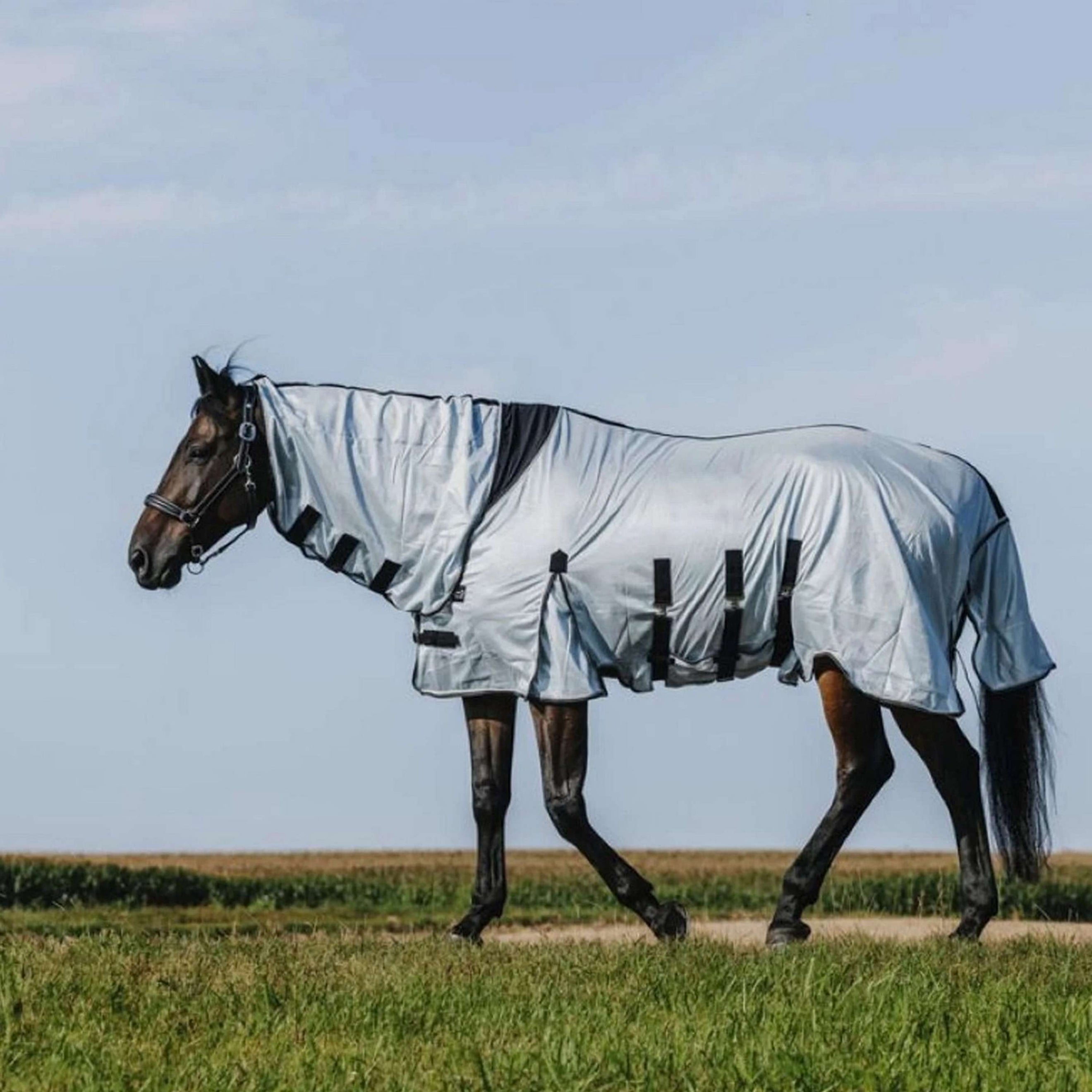 Riding World Couverture Anti-Mouches Belly Mesh Combo Gris Riding World Couverture Anti-Mouches Belly Mesh Combo Gris