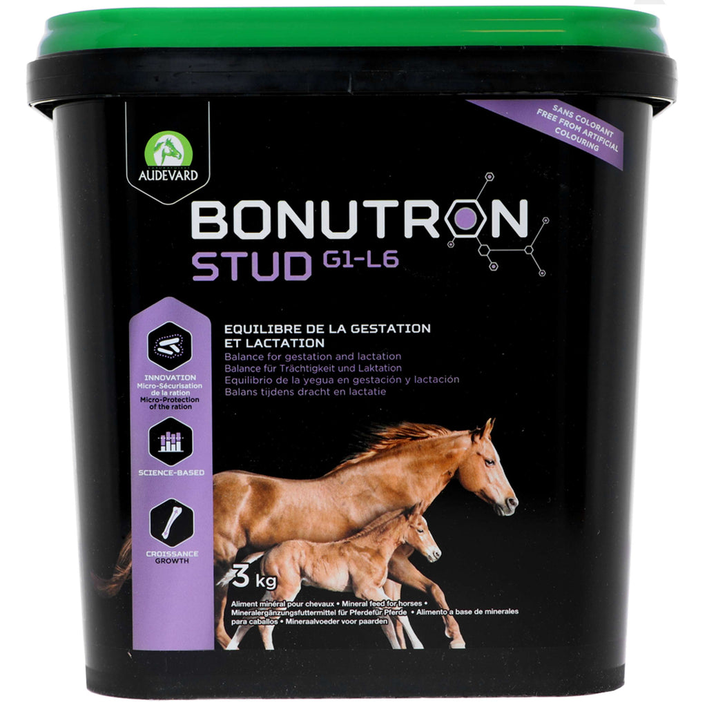 Audevard Bonutron Stud