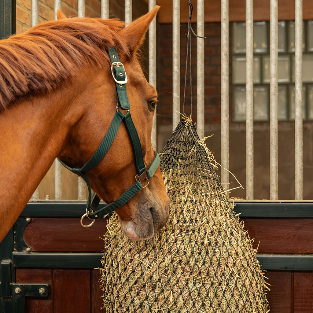 Agradi Horse Filet à Foin Greedy Maille 2,5 x 2,5 cm Noir