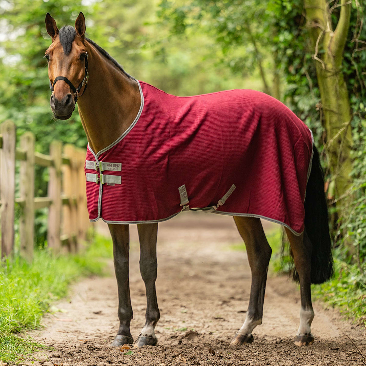 Velder Horsewear Waffle Cooler Rug Mûre Rouge