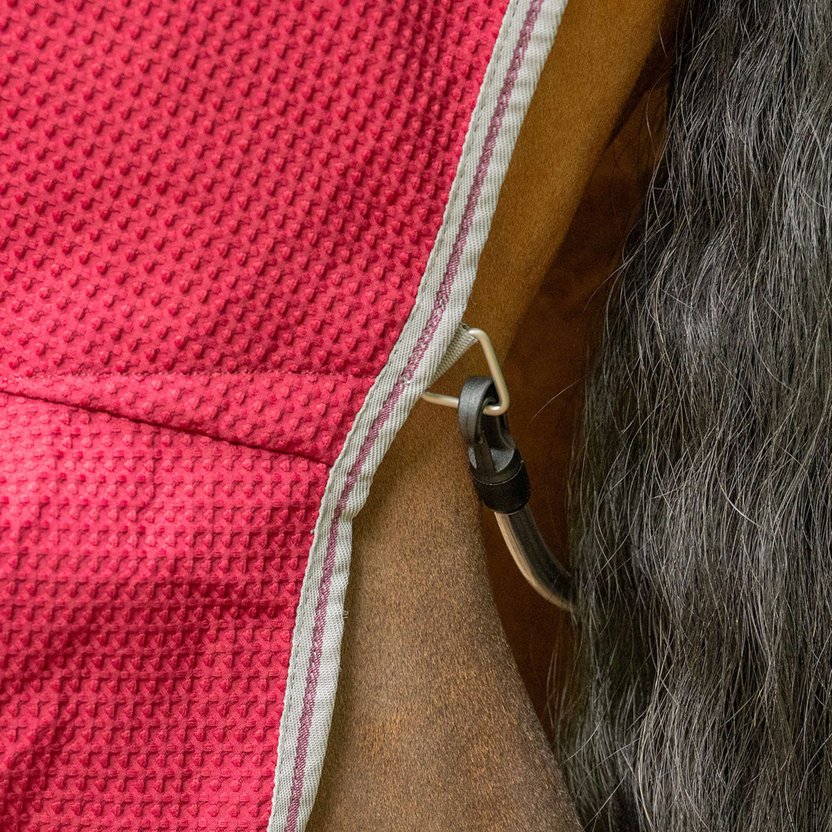 Velder Horsewear Waffle Cooler Rug Mûre Rouge