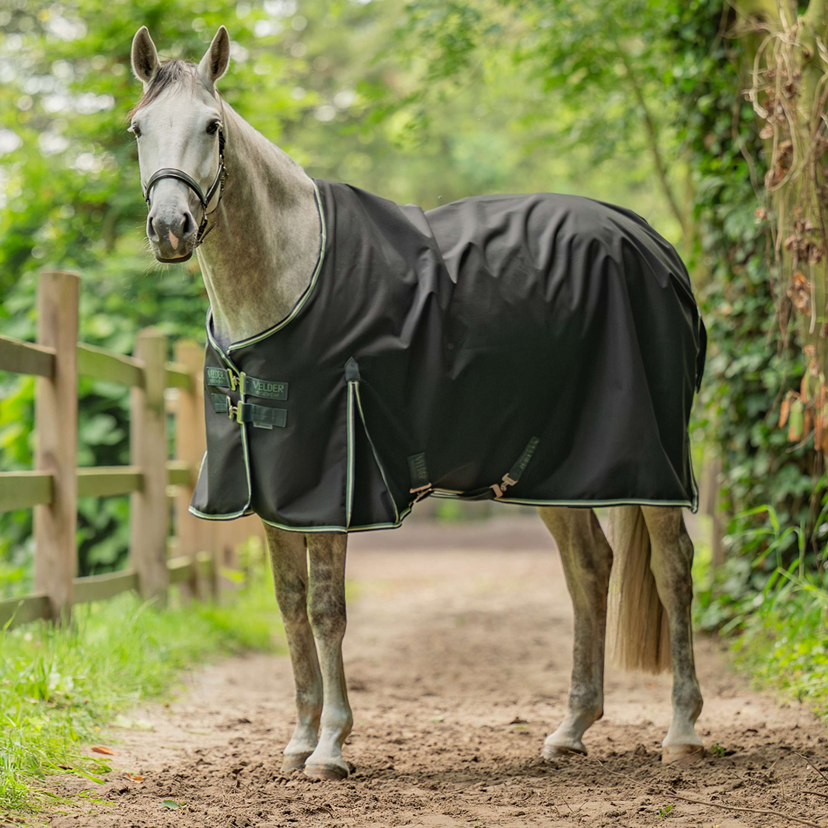 Velder Horsewear Turnout 900D 0g T Bar Night Forest Velder Horsewear Turnout 900D 0g T Bar Night Forest
