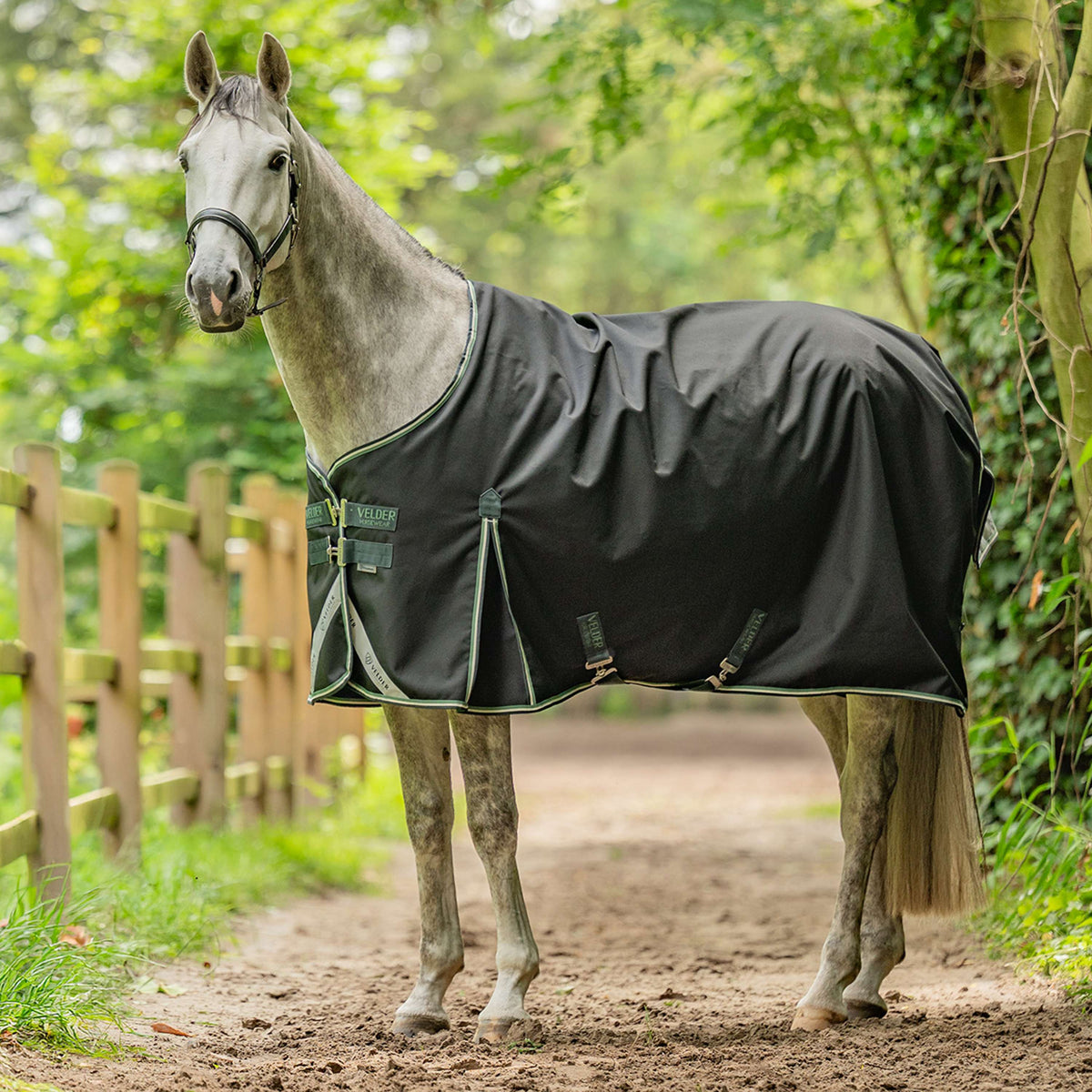 Velder Horsewear Turnout 1200D 0g T Bar Night Forest