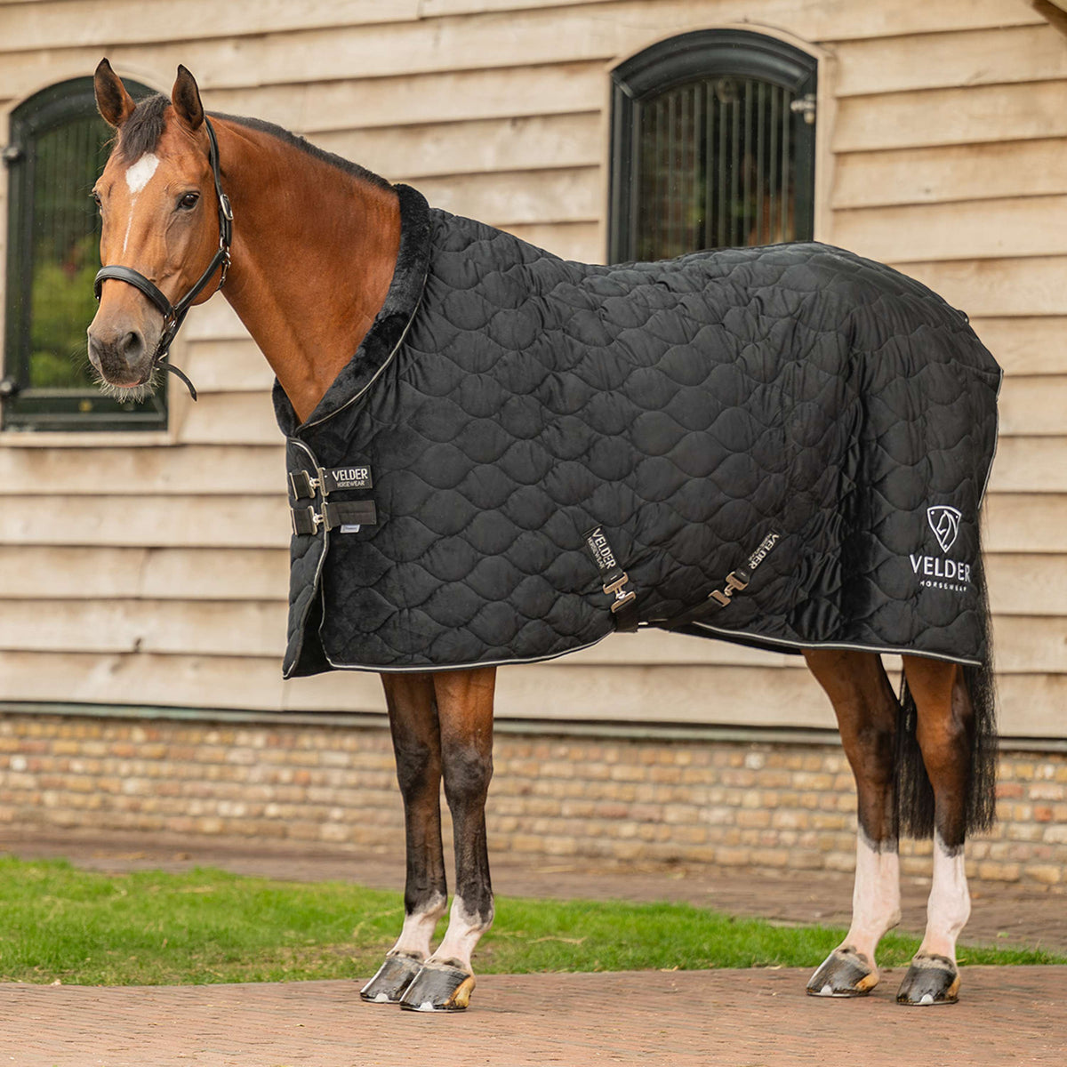 Velder Horsewear Premium Couverture de Concours Satin Glow Black Night