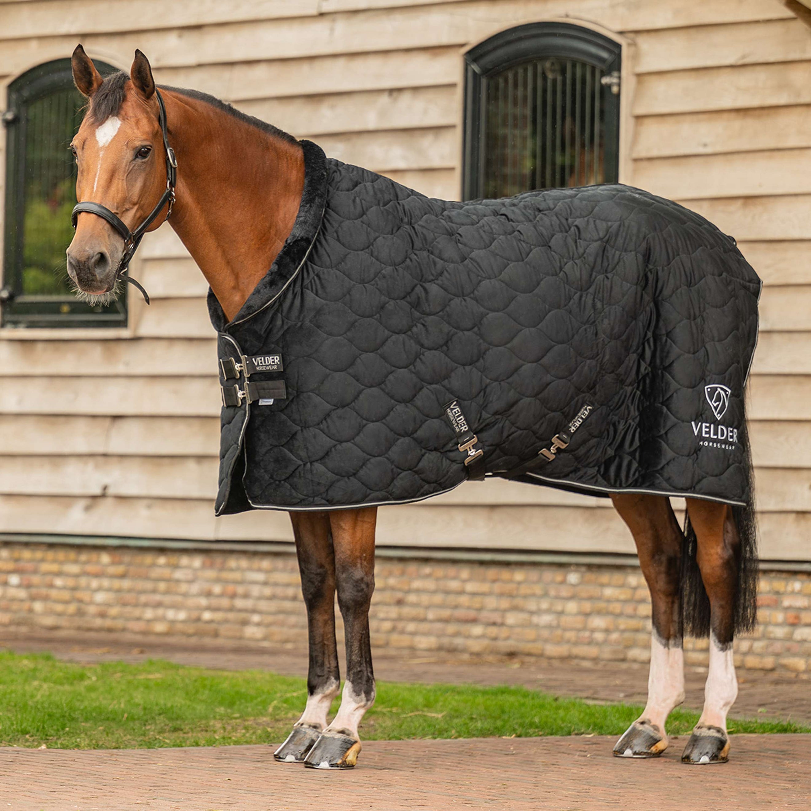 Velder Horsewear Premium Couverture de Concours Satin Glow Black Night