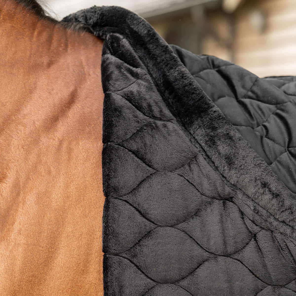 Velder Horsewear Premium Couverture de Concours Satin Glow Black Night