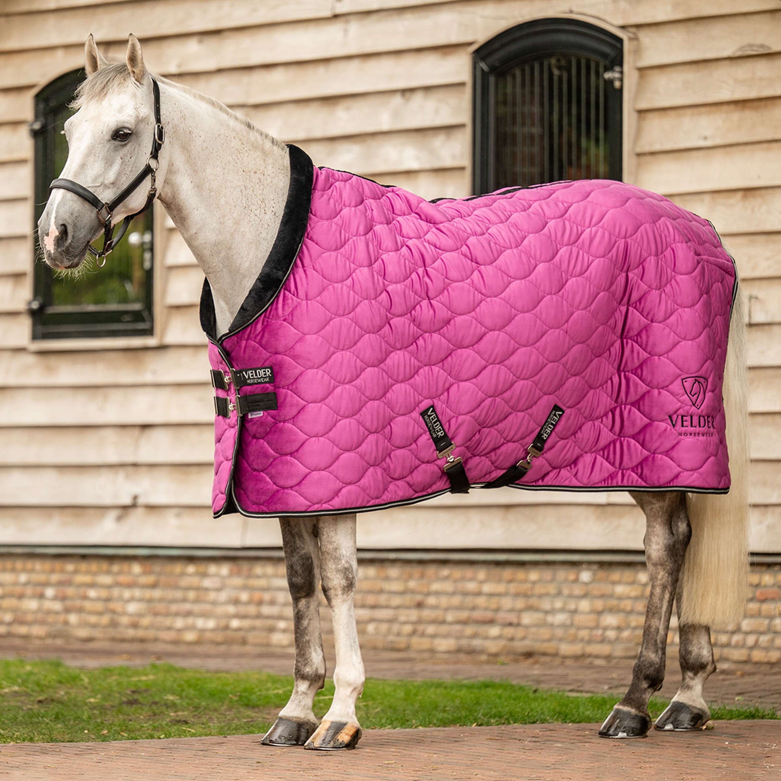 Velder Horsewear Premium Couverture de Concours Satin Glow Dutch Raspberry