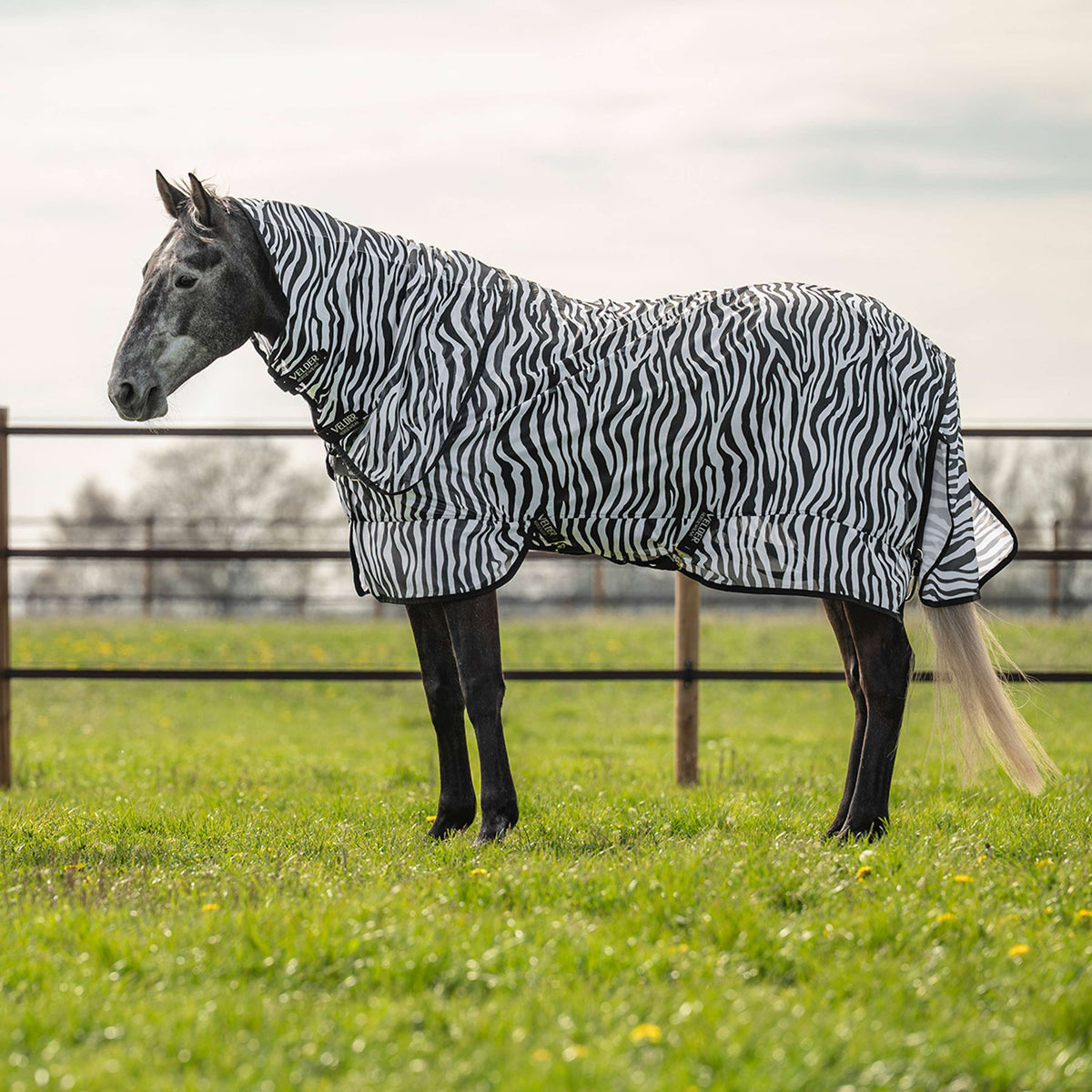 Velder Horsewear Couverture Anti-Mouches avec Couvre-cou Zebra Noir/Blanc