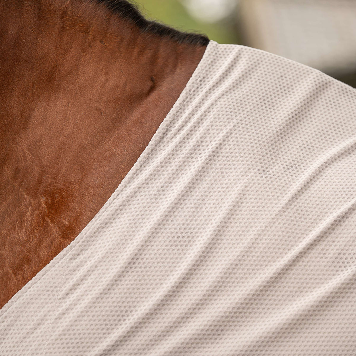 Velder Horsewear Premium Cool Down Rug Summer Rosé