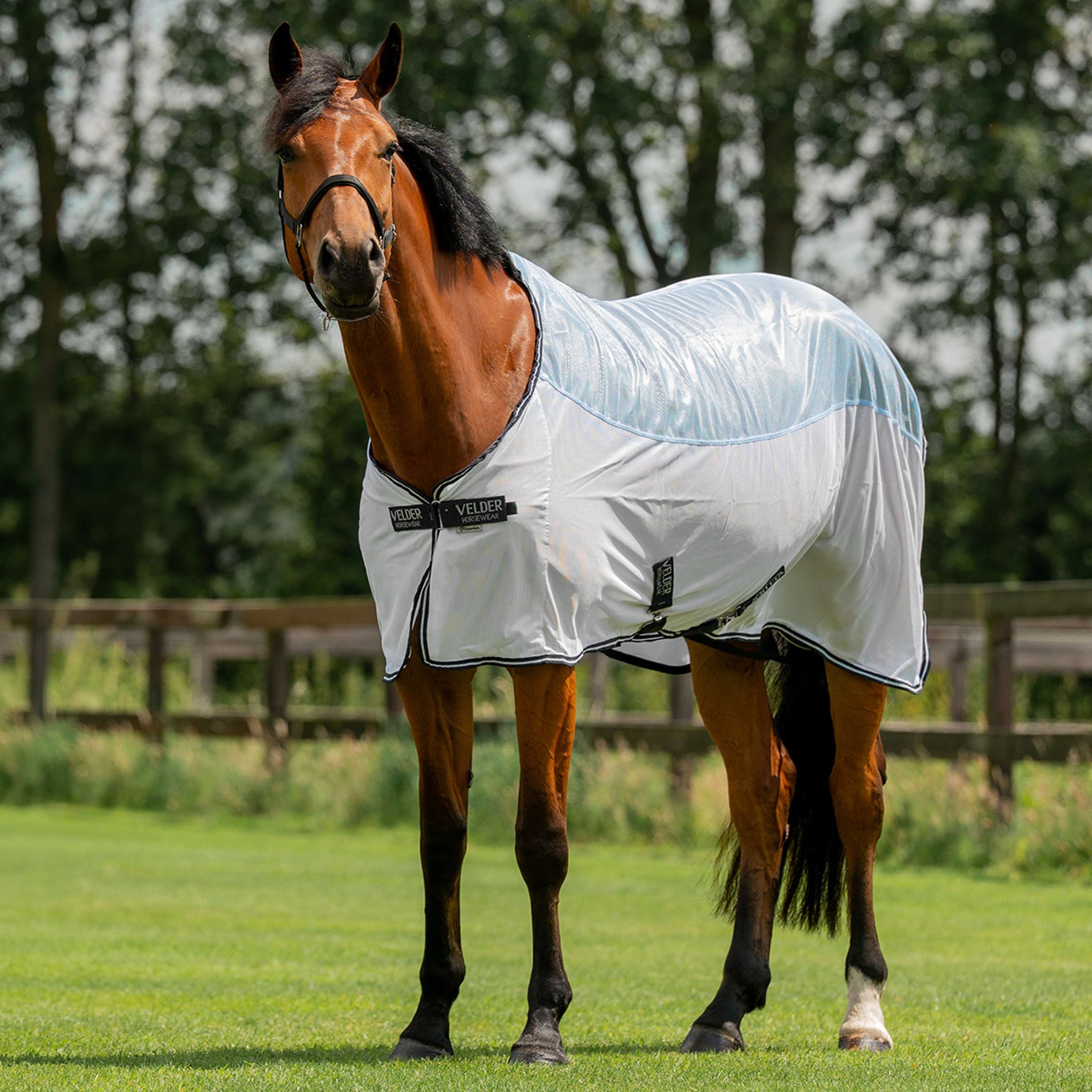 Velder Horsewear Essentials Couverture Anti-Mouches Blush Blue