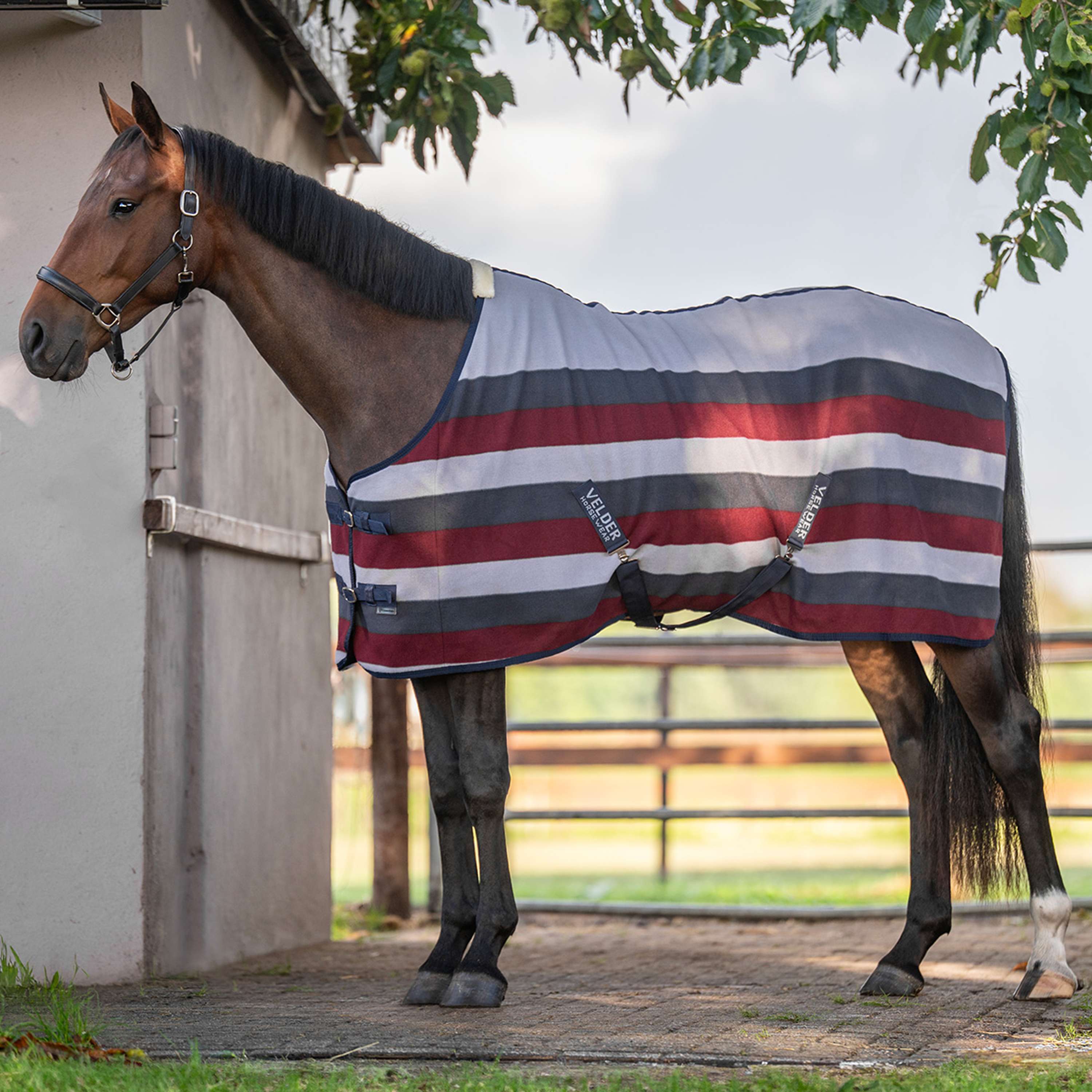 Velder Horsewear Essentials Couverture Polaire Polar Stripes Gris/Bordeuax