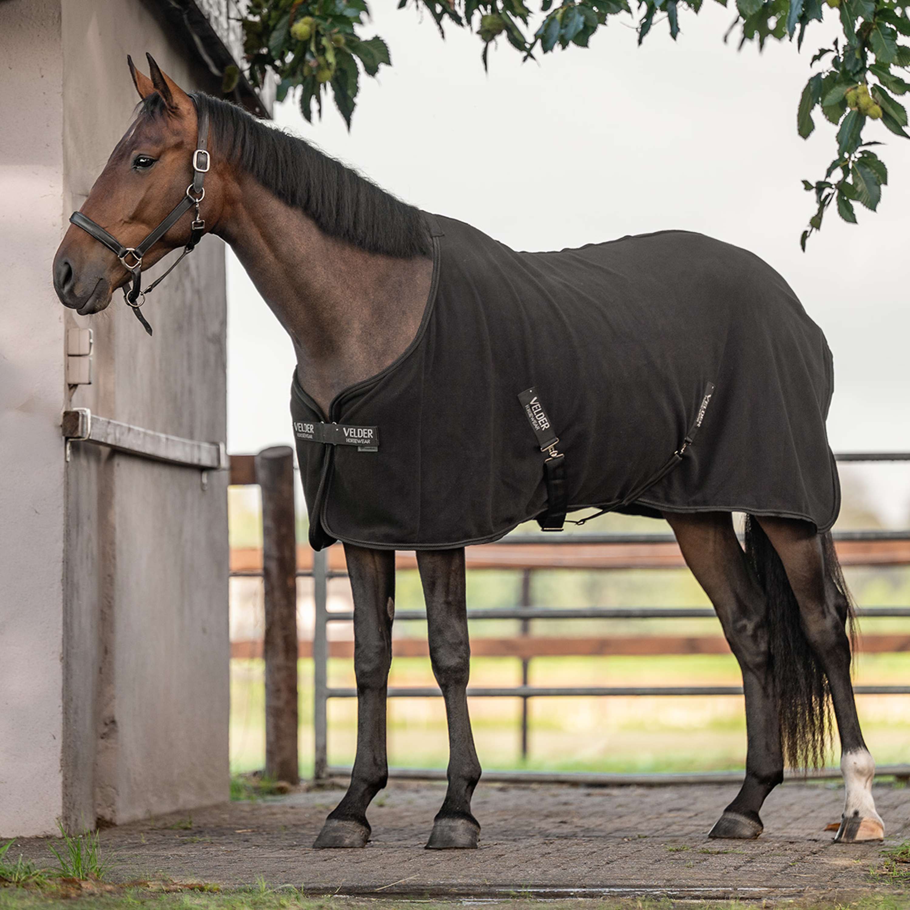 Velder Horsewear Essentials Couverture Polaire Comfy Noir
