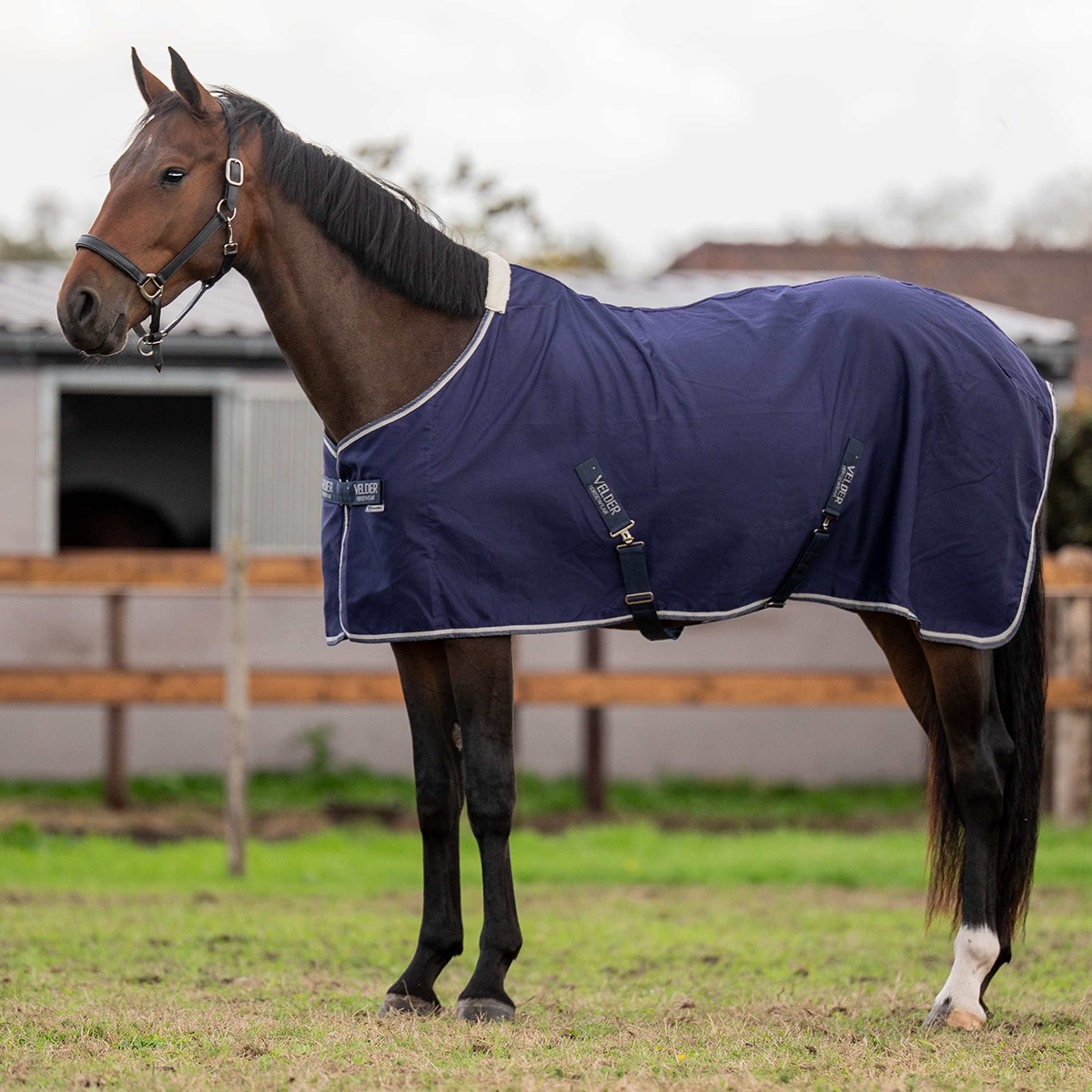 Velder Horsewear Essentials Couverture d'Été Marin