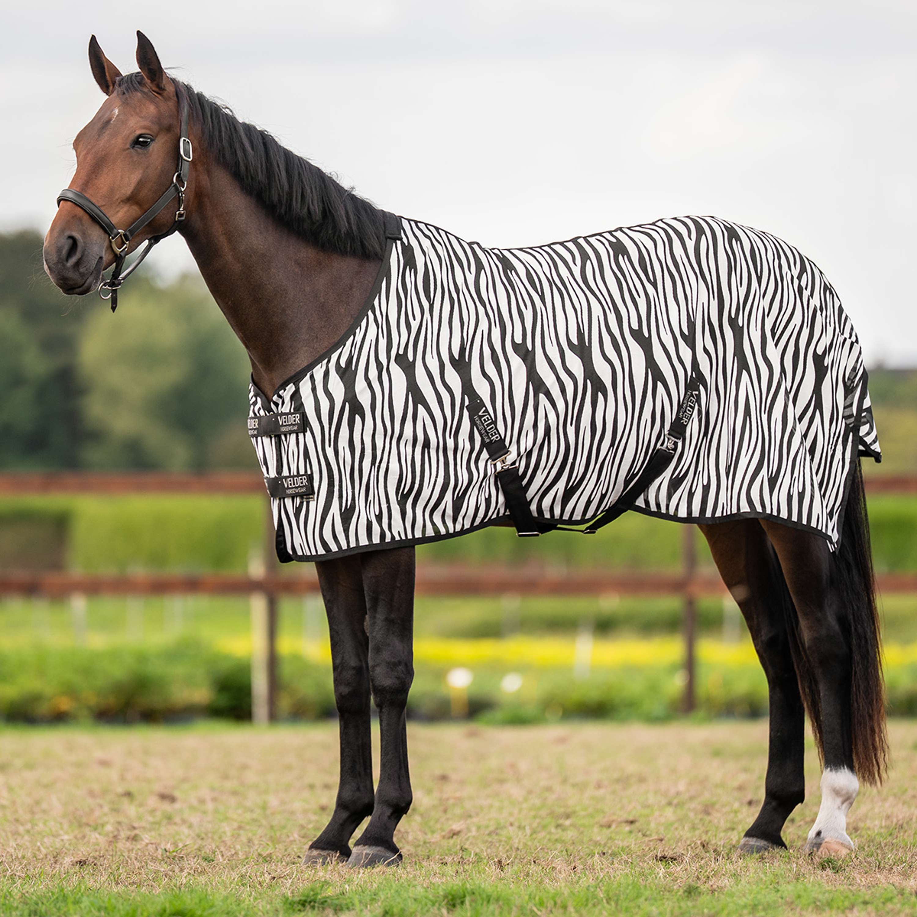 Velder Horsewear Essentials Couverture Anti-Mouches Zebra Noir/Blanc