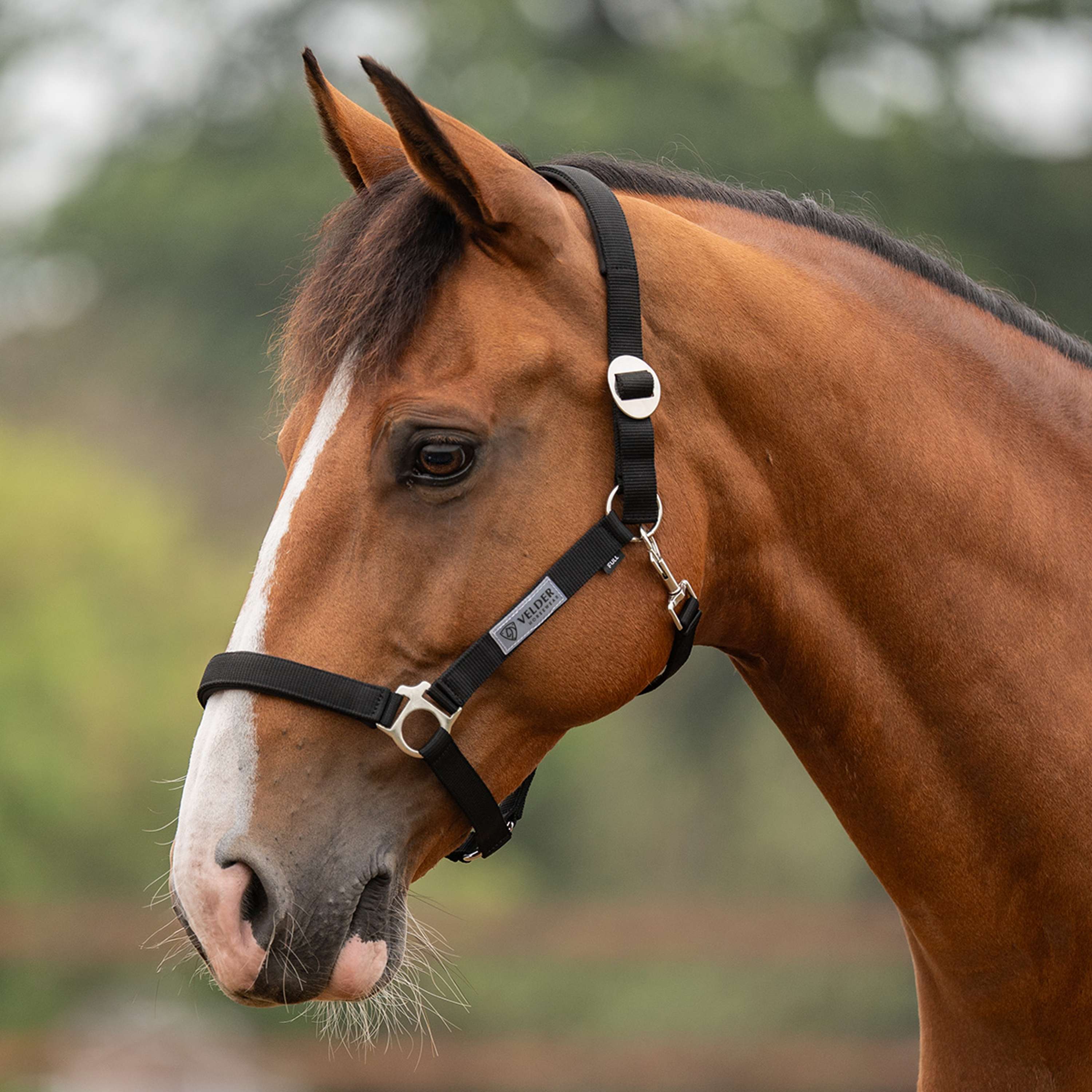 Velder Horsewear Essentials Licol Basic Padded Noir