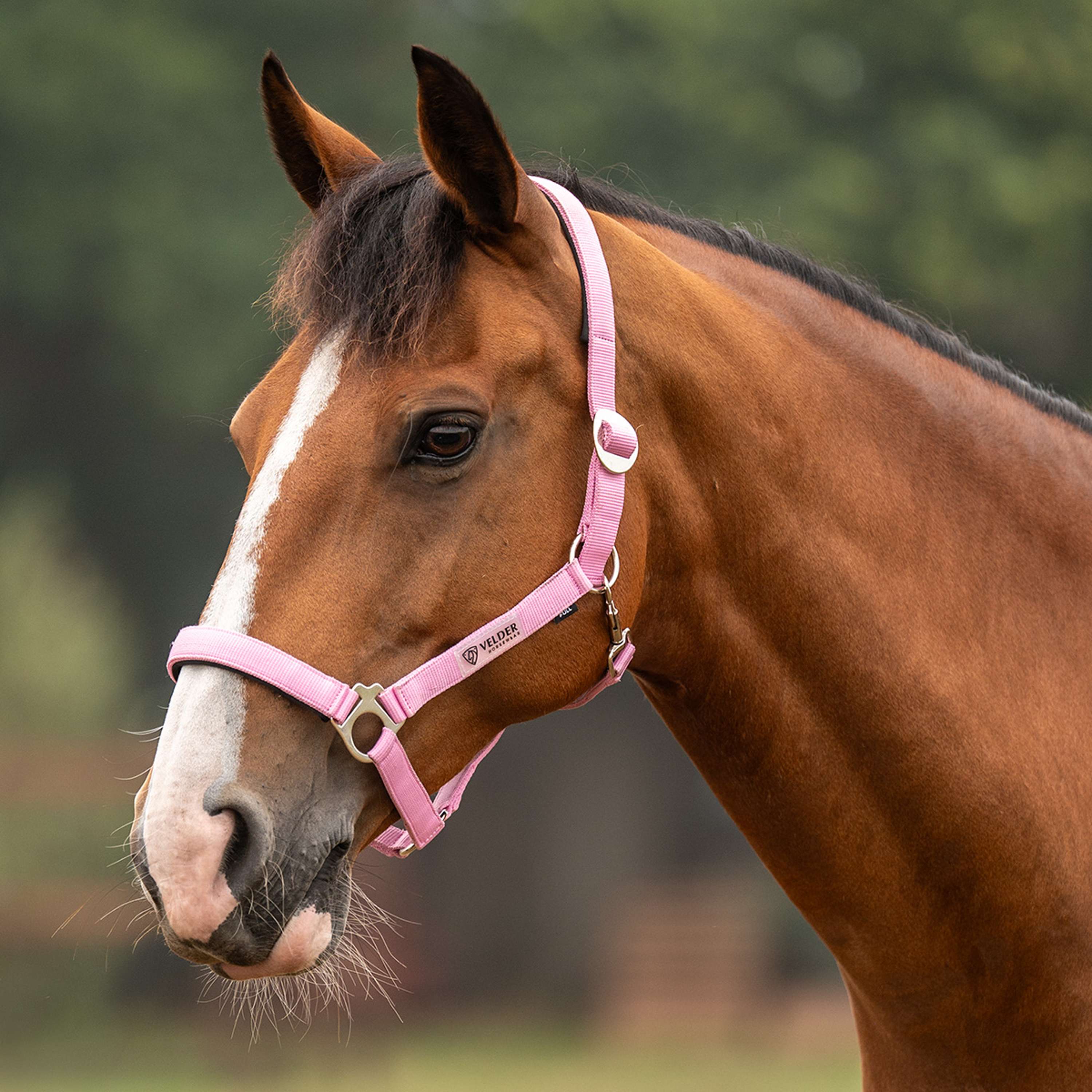 Velder Horsewear Essentials Licol Basic Padded Pop Pink