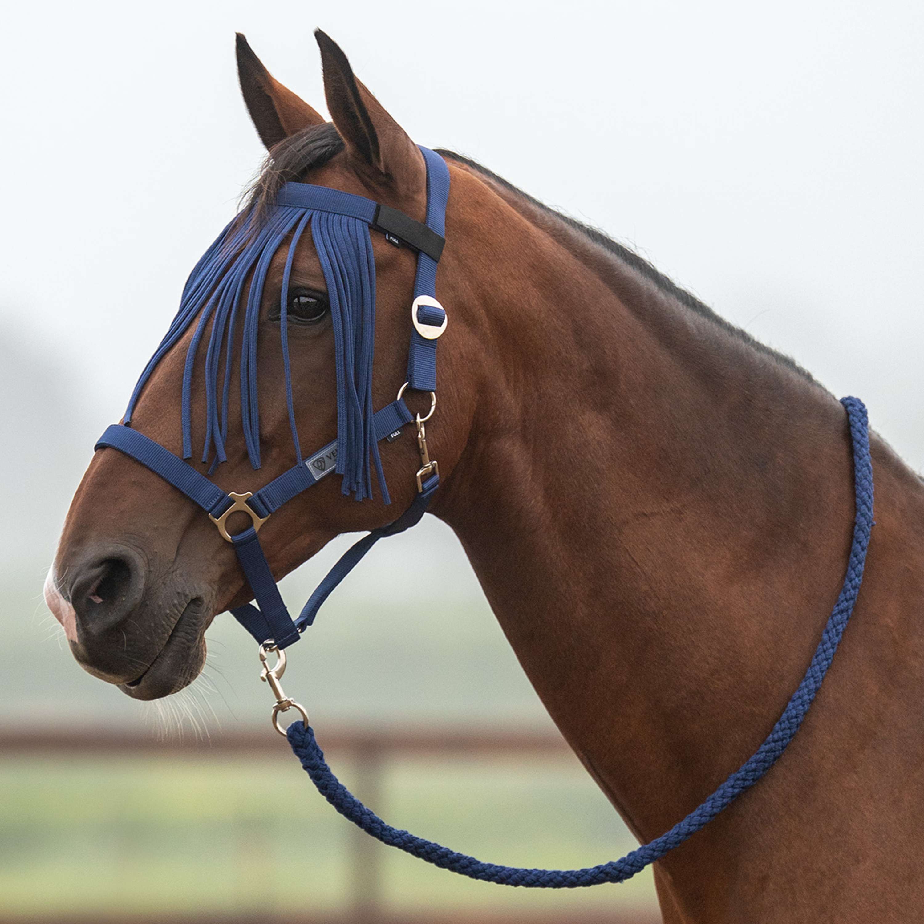 Velder Horsewear Essentials Ensemble Licol Basic Summer Marin