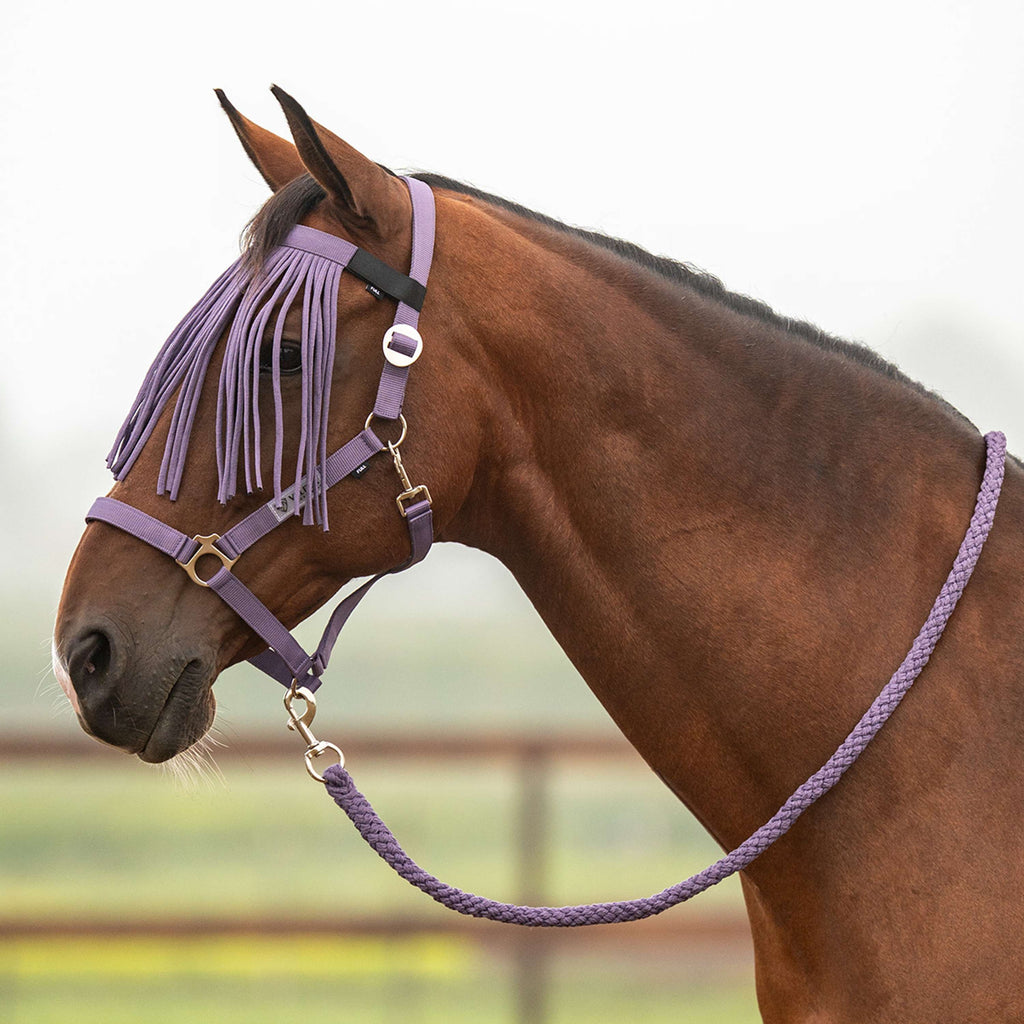 Velder Horsewear Essentials Ensemble Licol Basic Summer Purple Sage