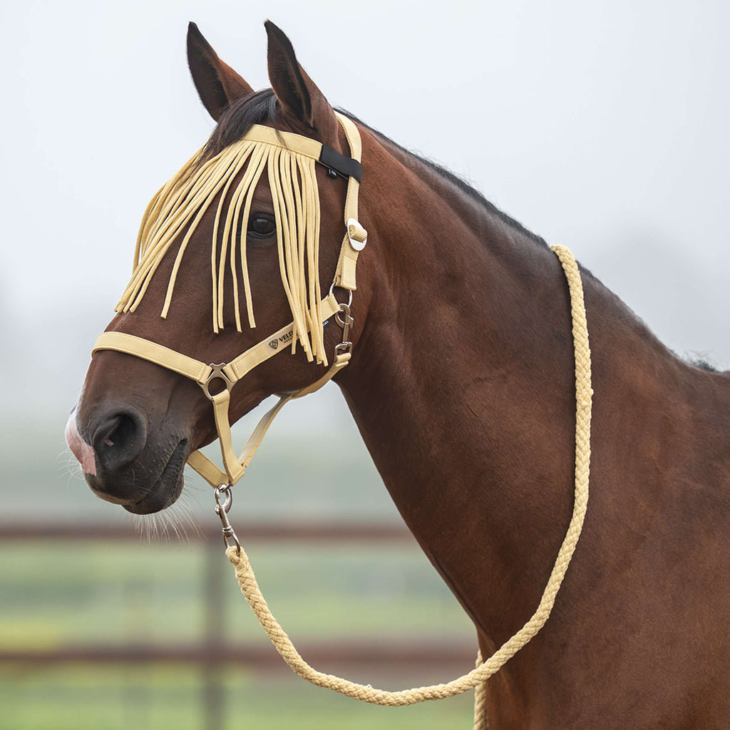 Velder Horsewear Essentials Ensemble Licol Basic Summer Healing Yellow