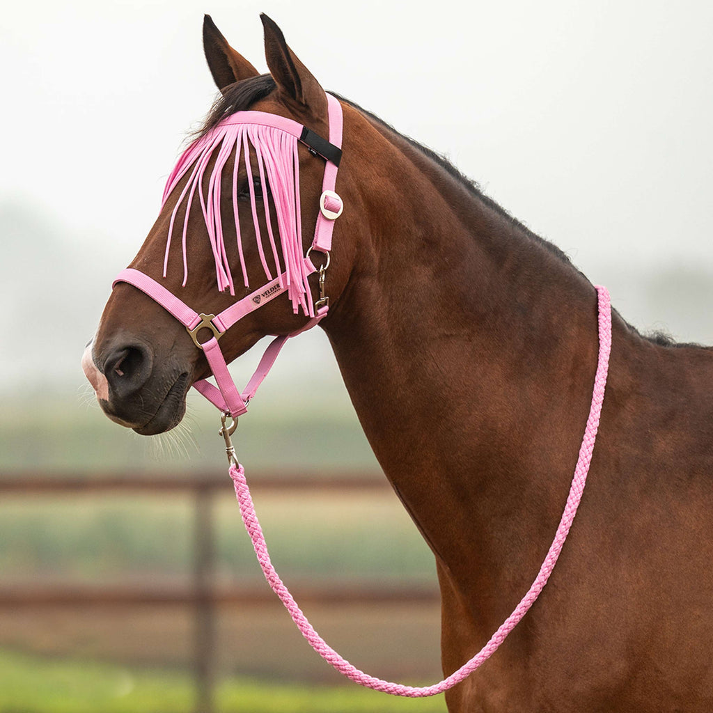 Velder Horsewear Essentials Ensemble Licol Basic Summer Pop Pink