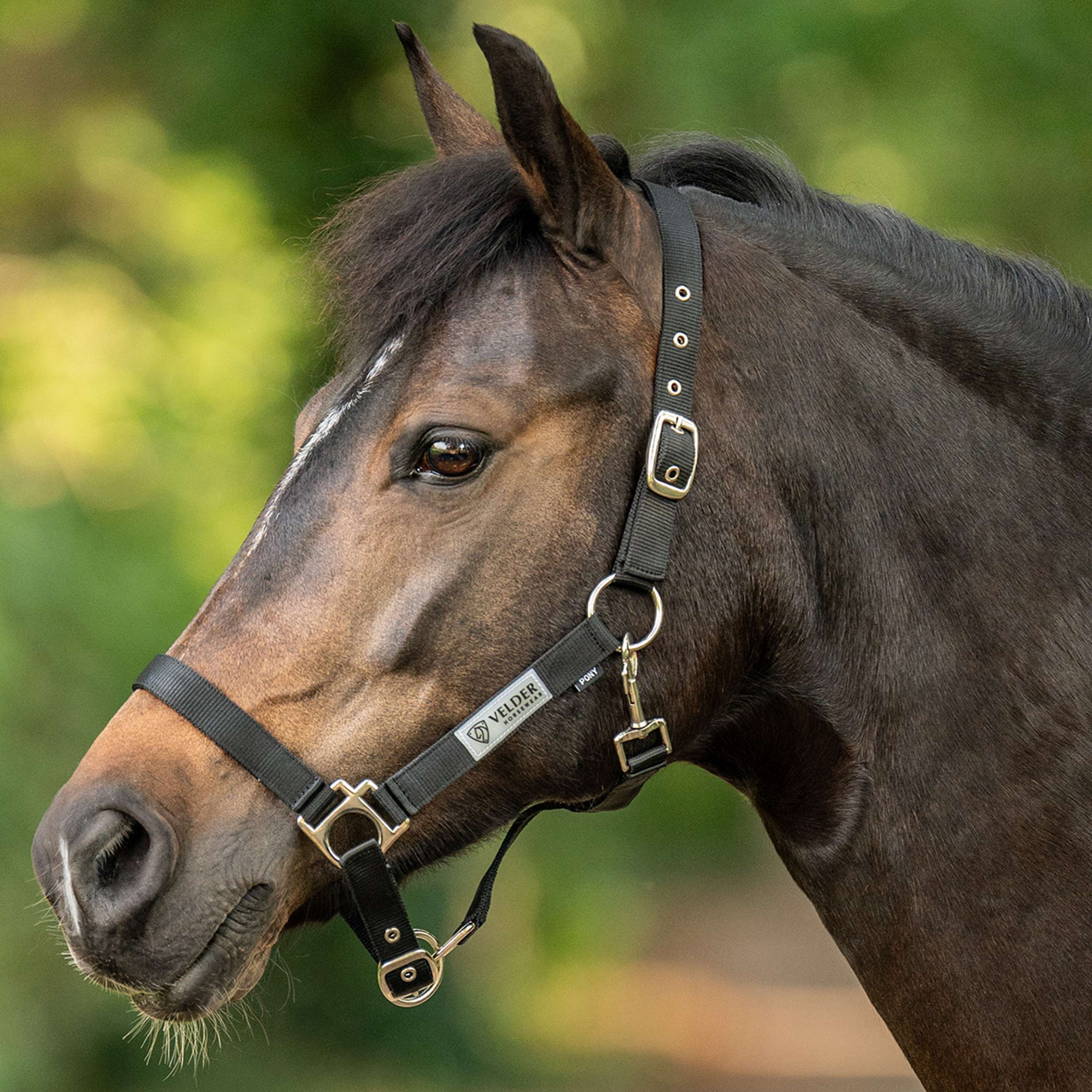 Velder Horsewear Essentials Licol Triple Adjustable Noir
