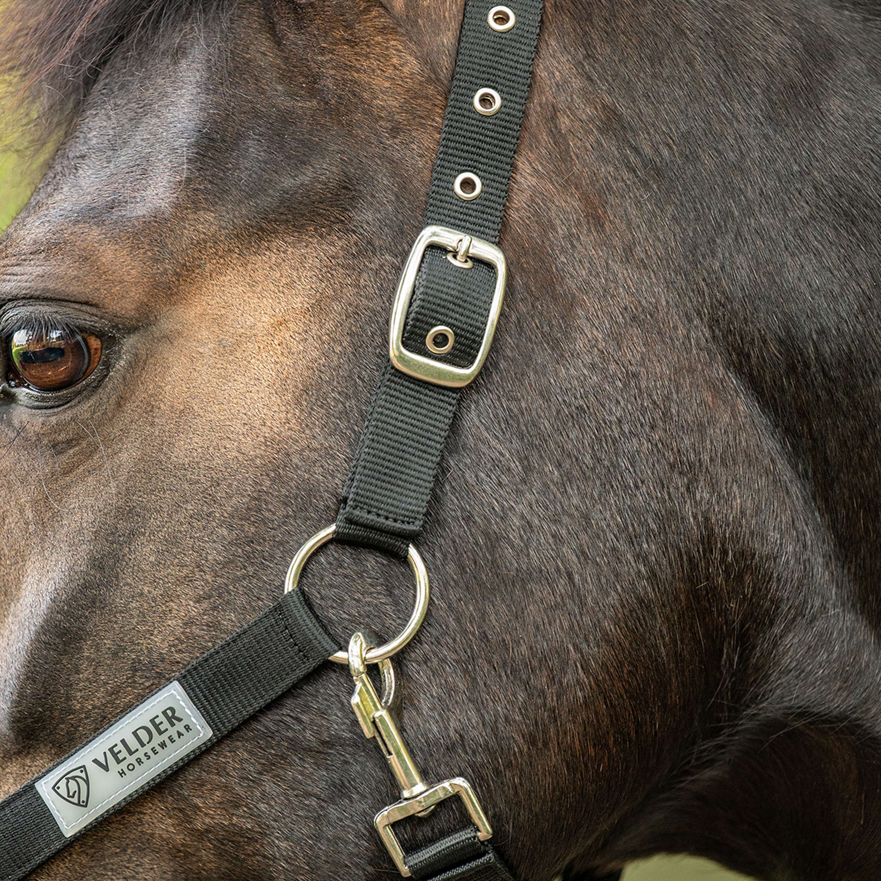 Velder Horsewear Essentials Licol Triple Adjustable Noir