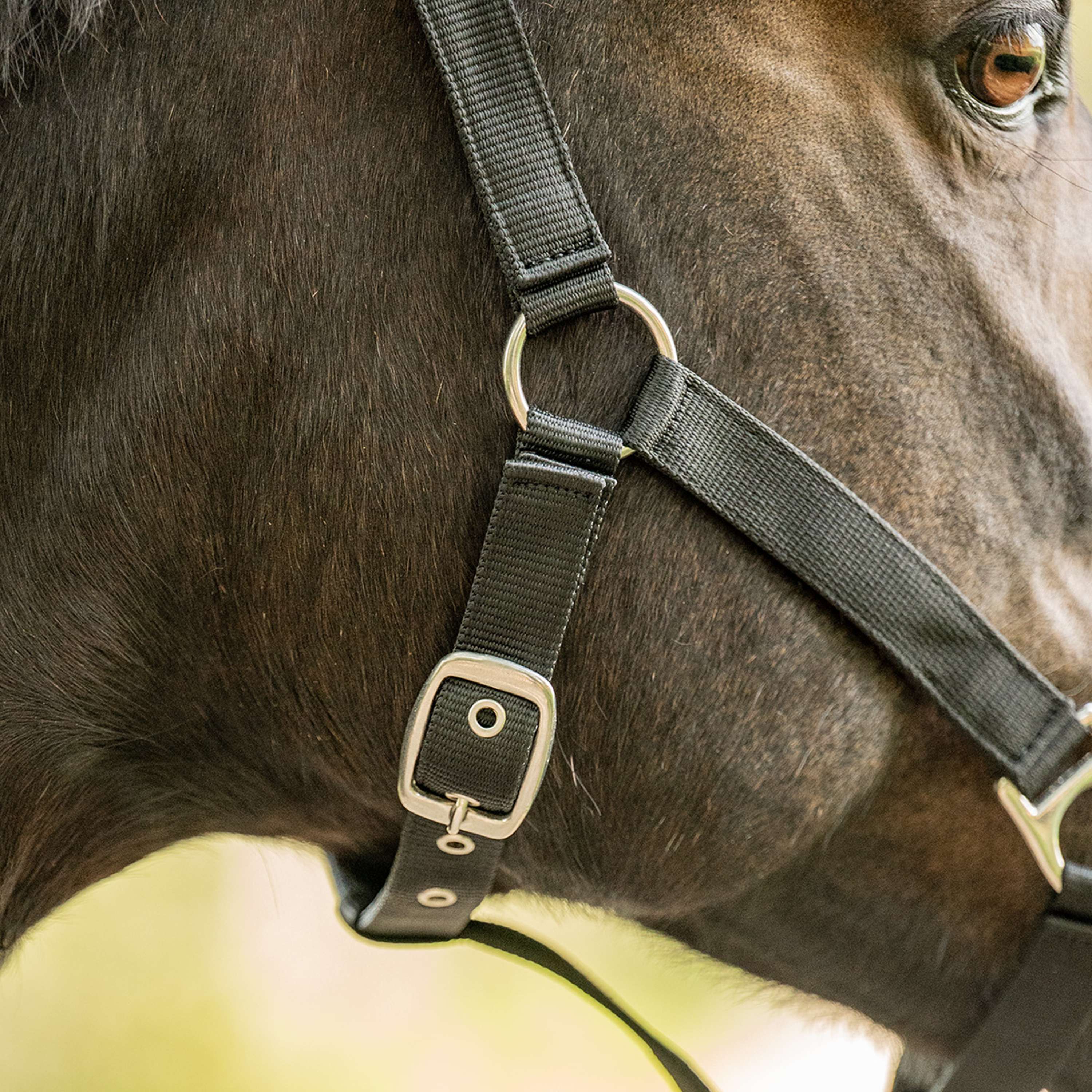 Velder Horsewear Essentials Licol Triple Adjustable Noir