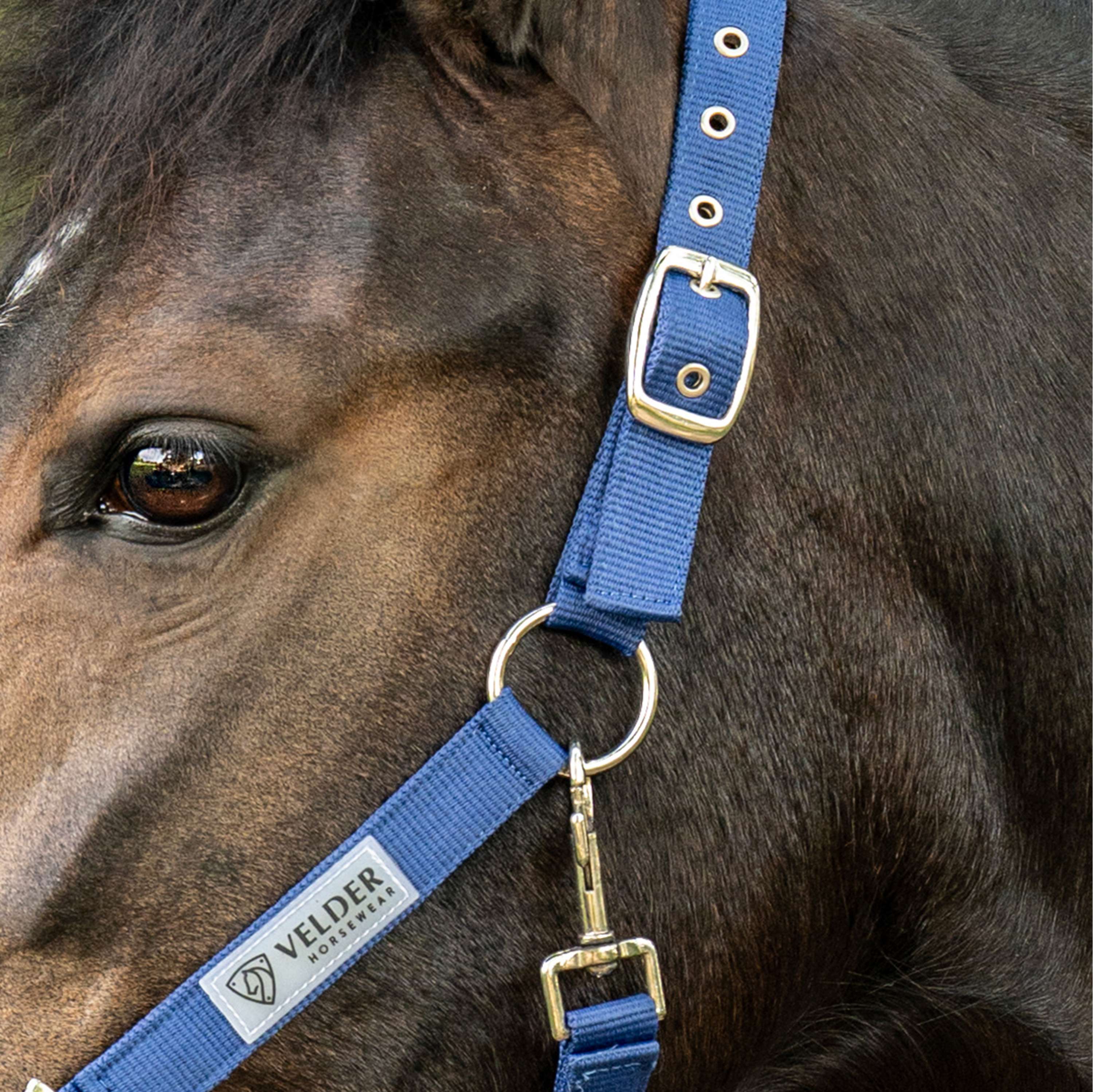 Velder Horsewear Essentials Licol Triple Adjustable Marin