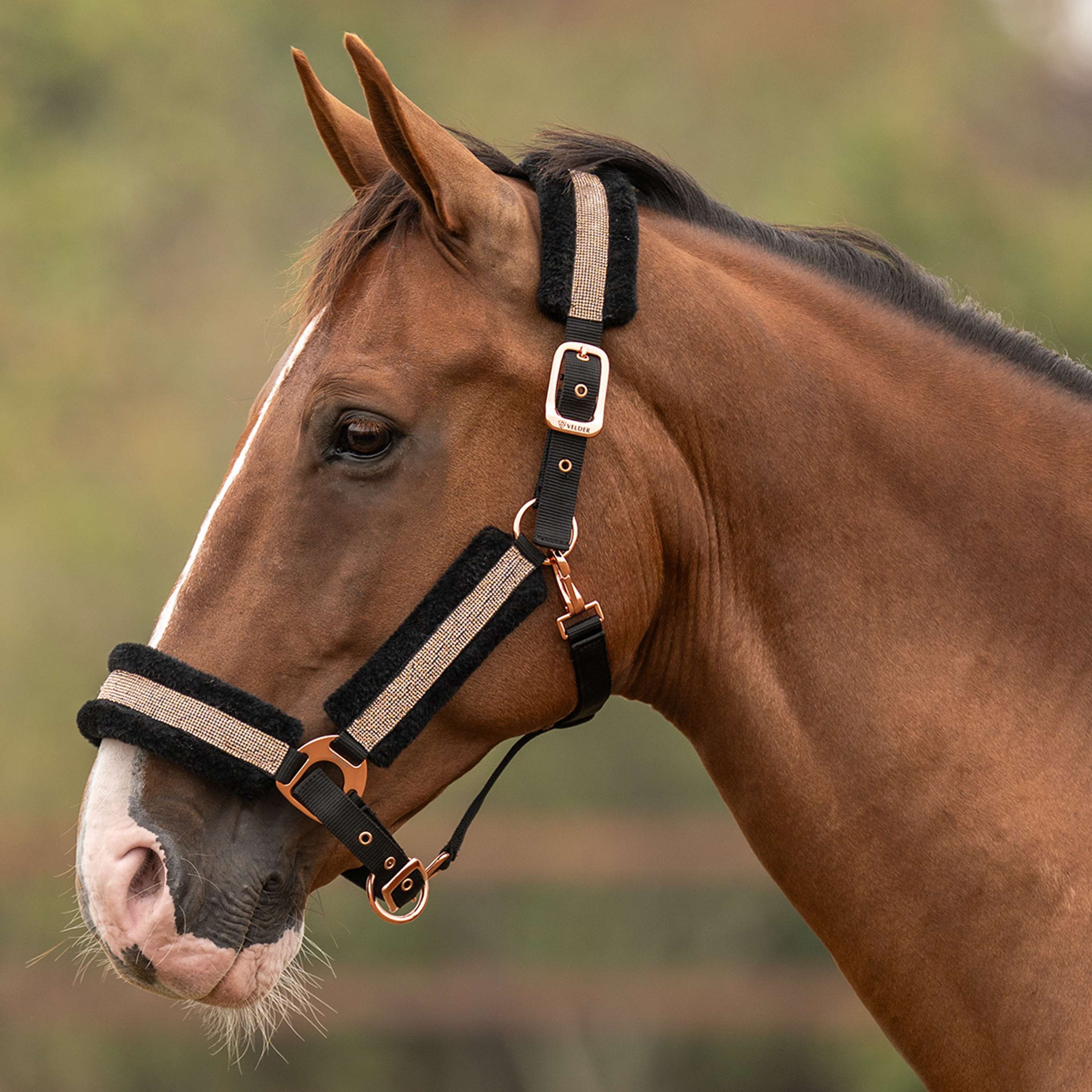 Velder Horsewear Essentials Licol Soft Sparkle Noir