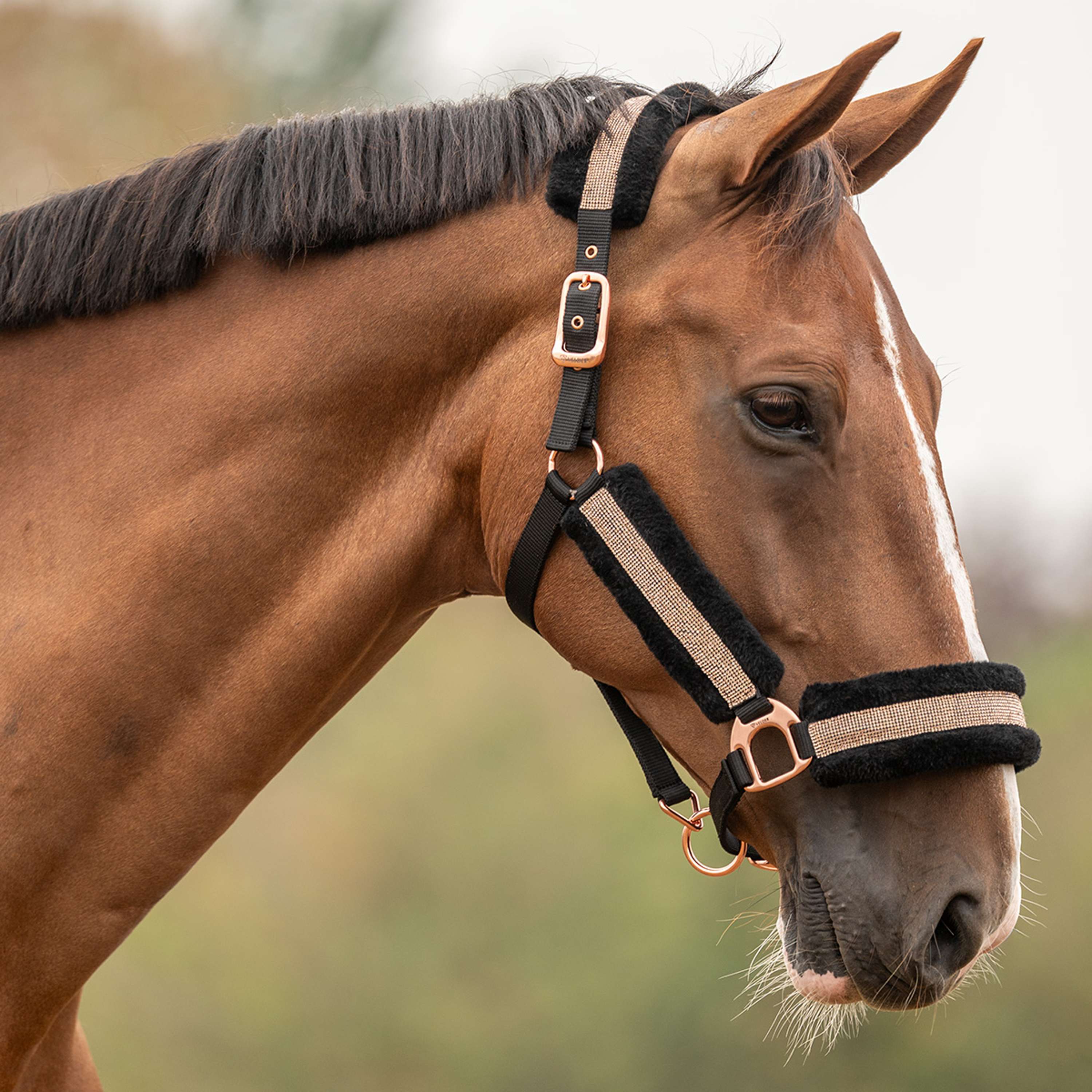 Velder Horsewear Essentials Licol Soft Sparkle Noir